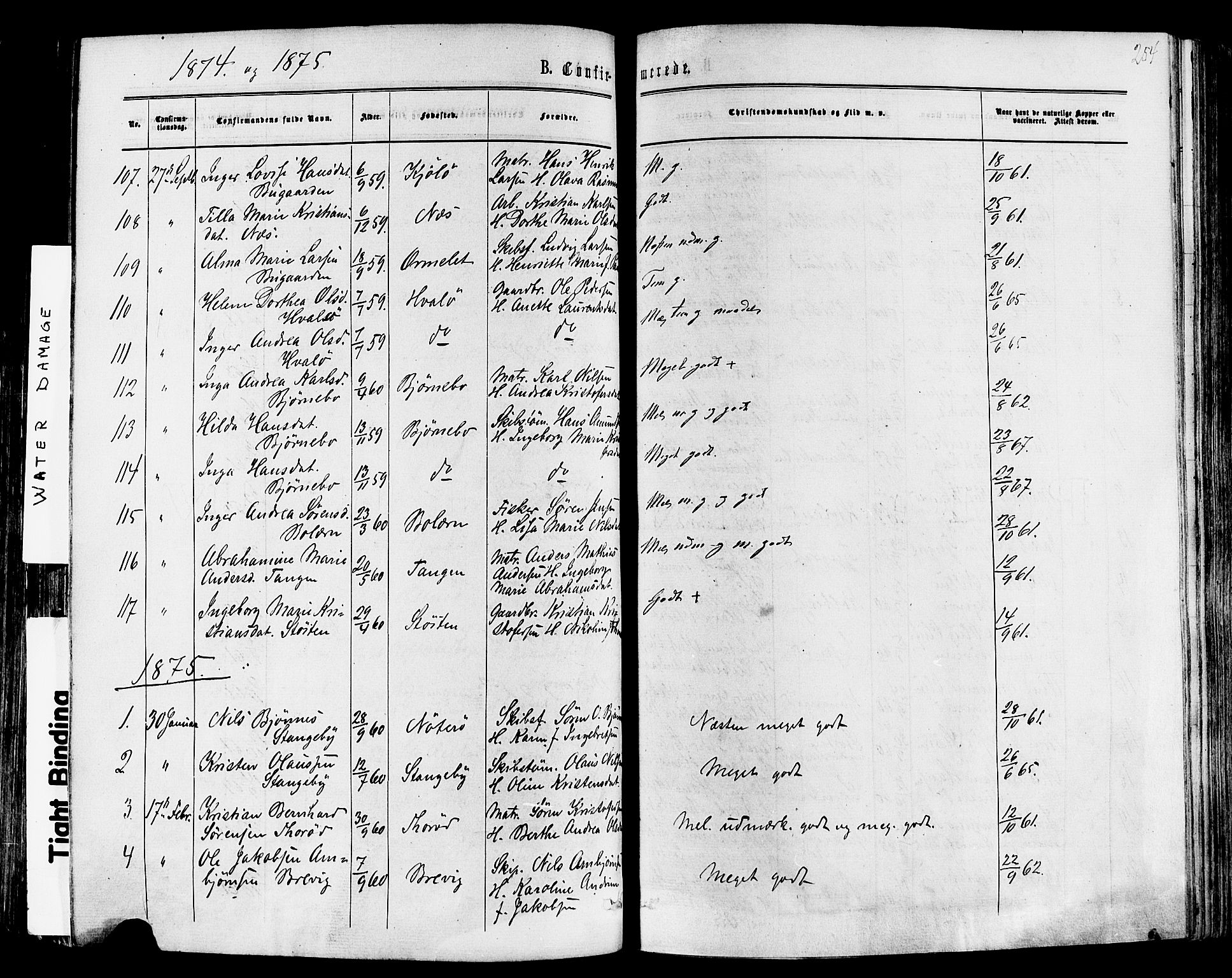 Nøtterøy kirkebøker, SAKO/A-354/F/Fa/L0007: Parish register (official) no. I 7, 1865-1877, p. 254
