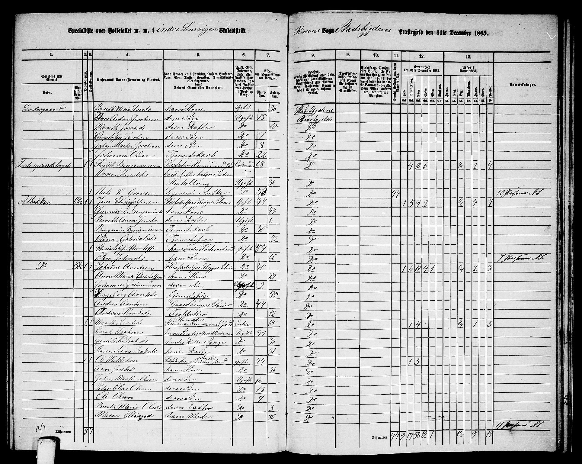 RA, 1865 census for Stadsbygd, 1865, p. 194