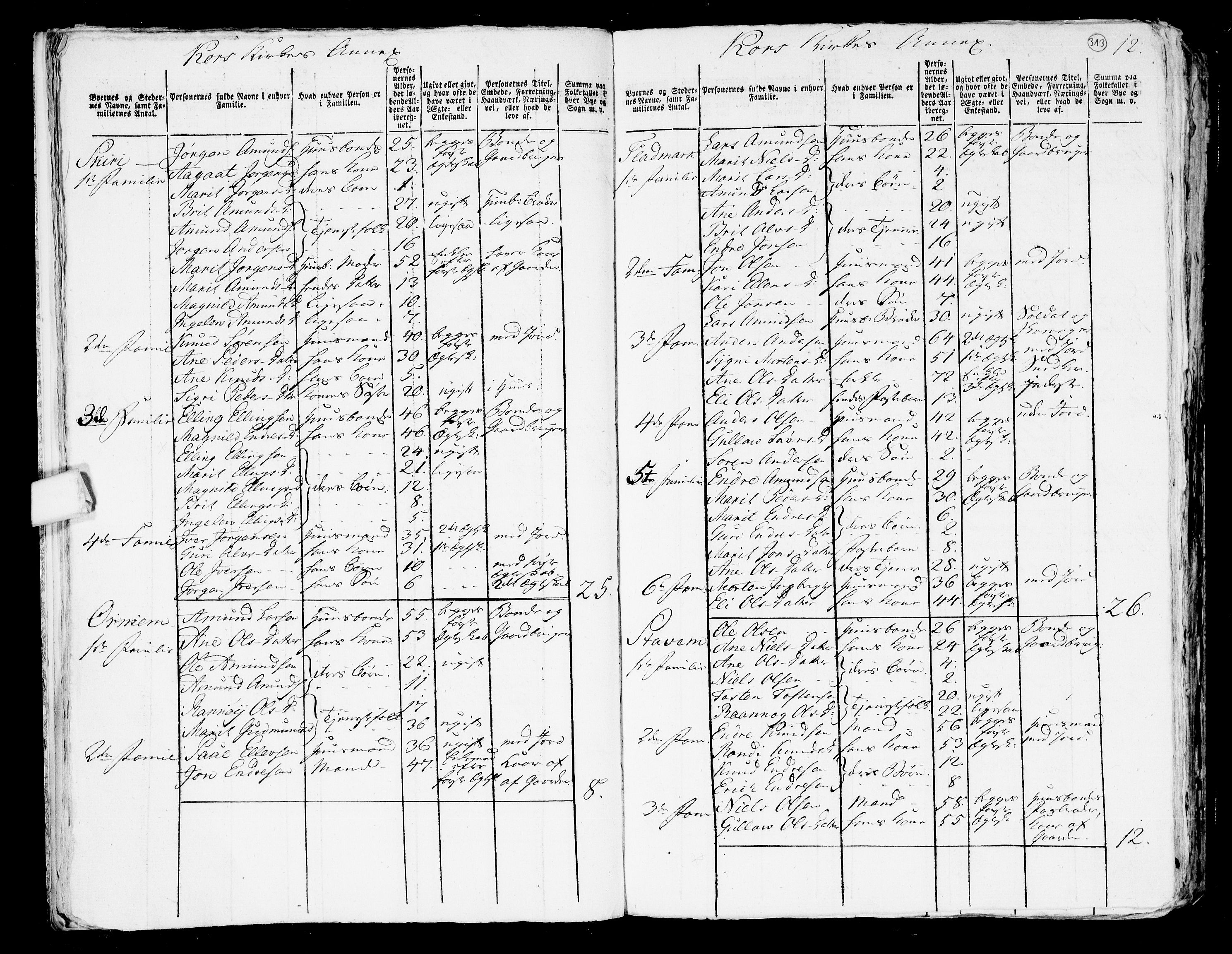 RA, 1801 census for 1539P Grytten, 1801, p. 312b-313a