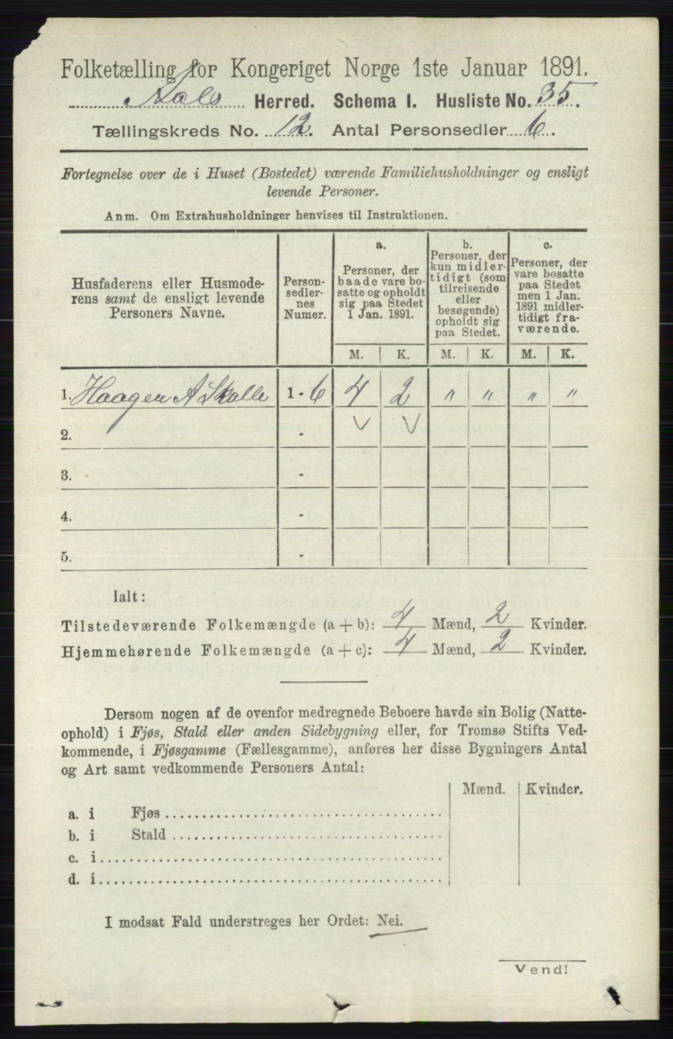 RA, 1891 census for 0619 Ål, 1891, p. 3004