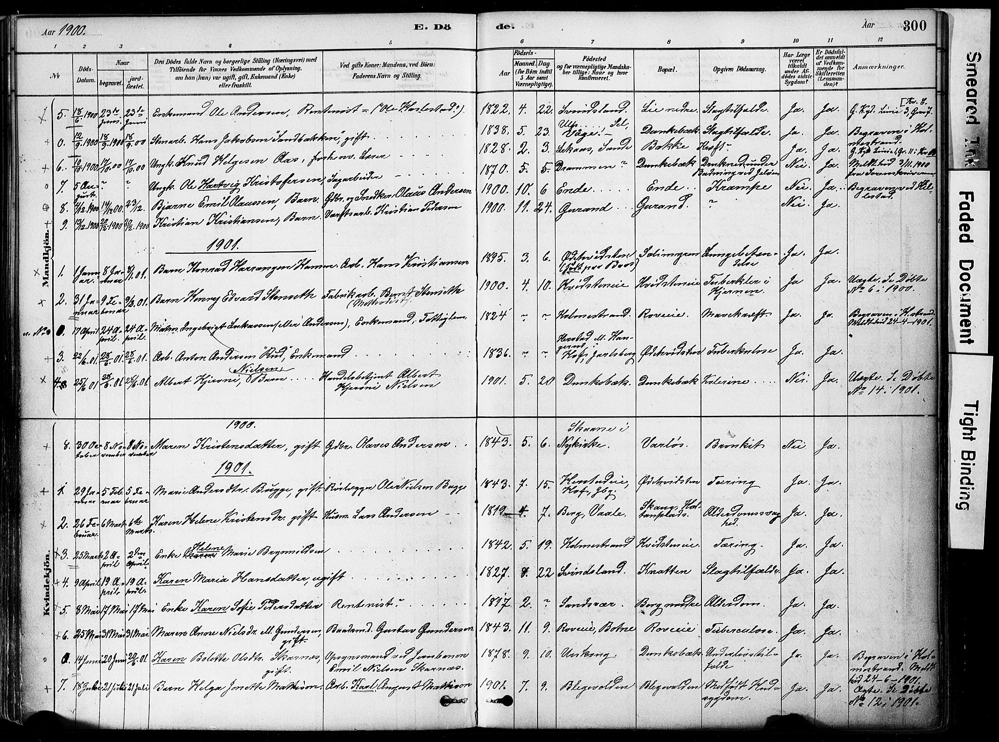 Botne kirkebøker, SAKO/A-340/F/Fa/L0007: Parish register (official) no. I 7, 1878-1910, p. 300