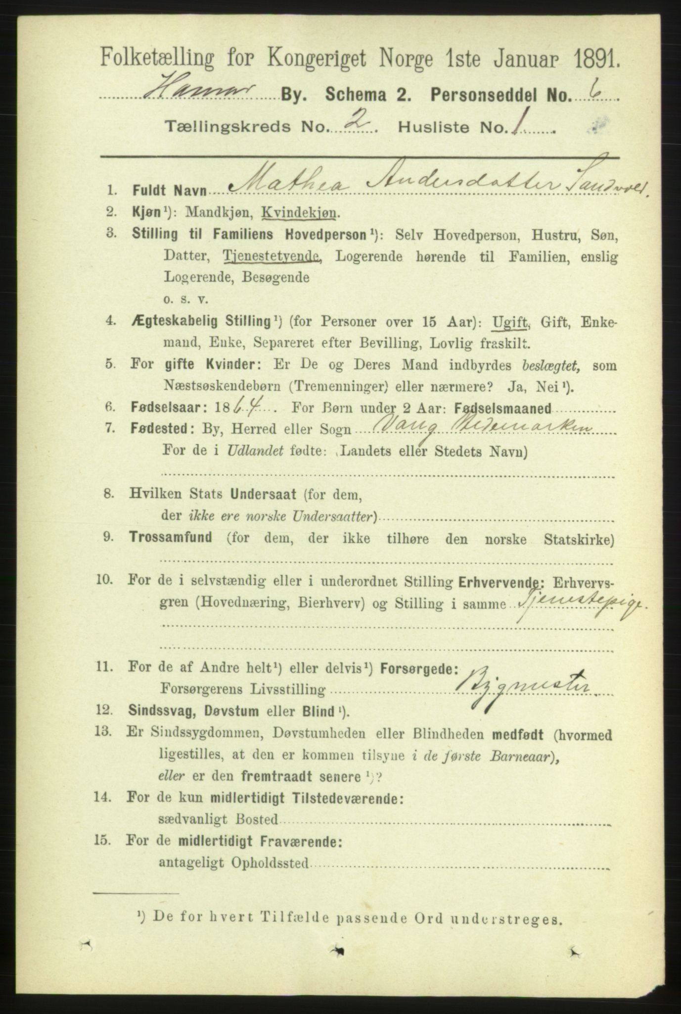 RA, 1891 census for 0401 Hamar, 1891, p. 971