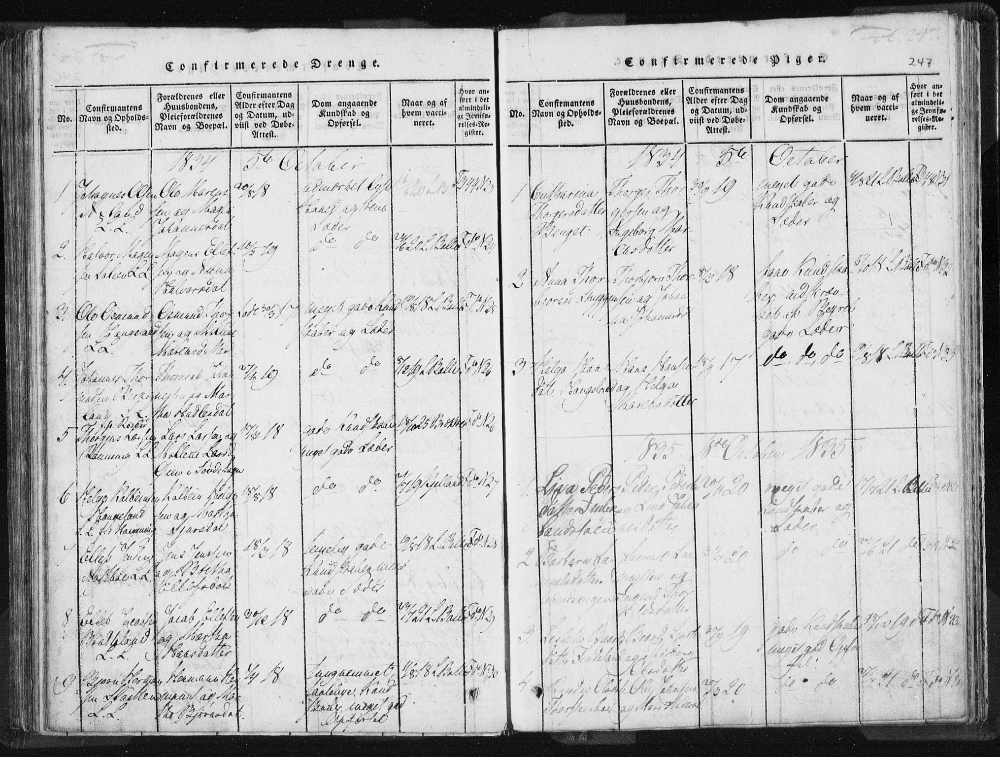 Vikedal sokneprestkontor, AV/SAST-A-101840/01/IV: Parish register (official) no. A 5, 1817-1850, p. 247