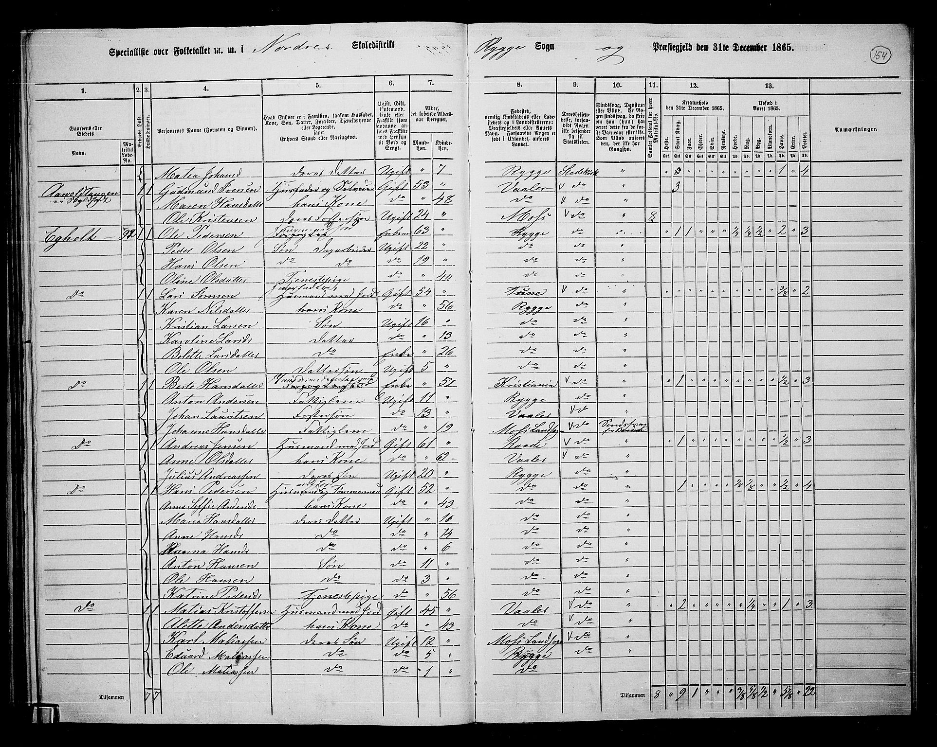 RA, 1865 census for Rygge, 1865, p. 95