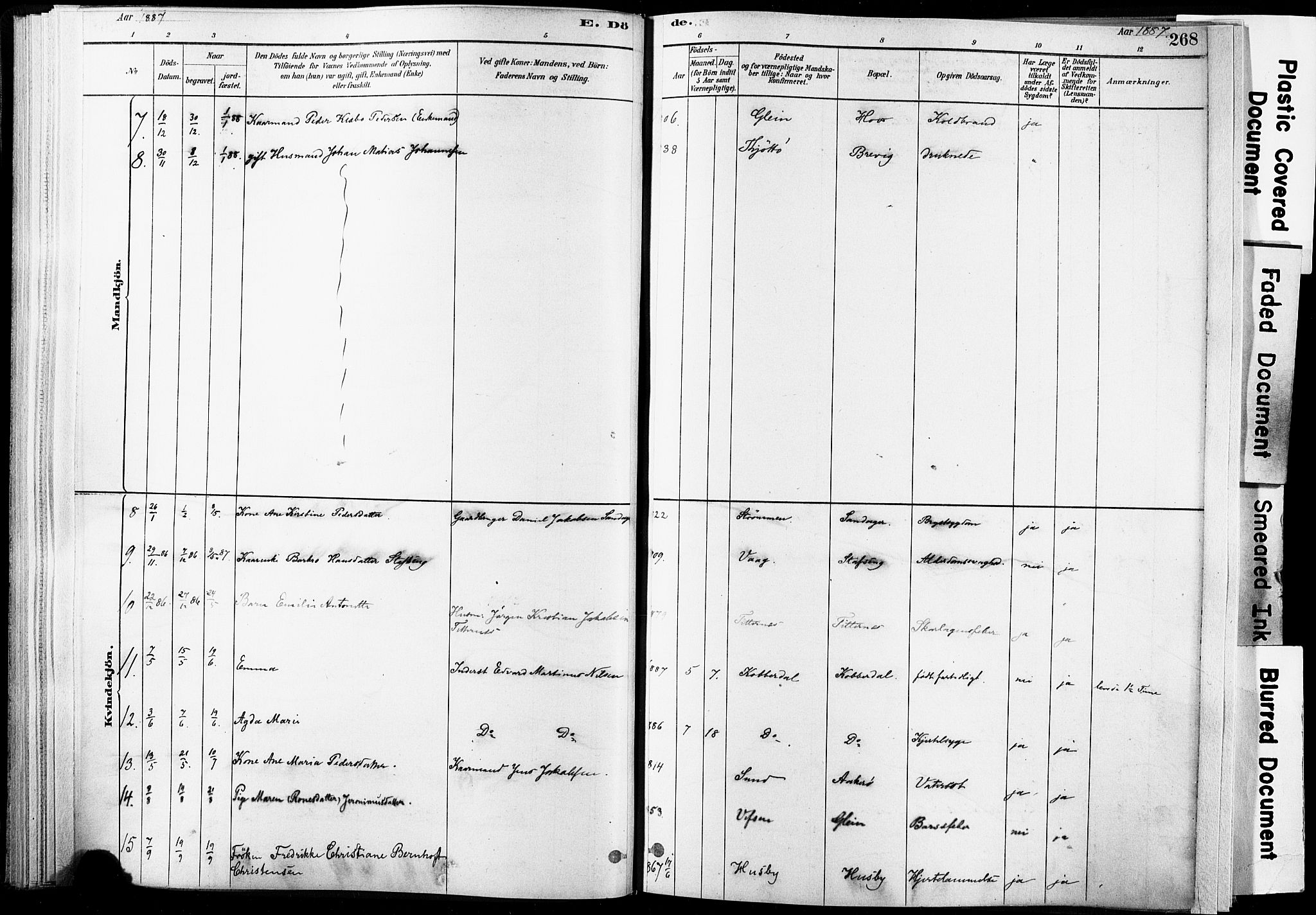 Ministerialprotokoller, klokkerbøker og fødselsregistre - Nordland, AV/SAT-A-1459/835/L0526: Parish register (official) no. 835A03II, 1881-1910, p. 268