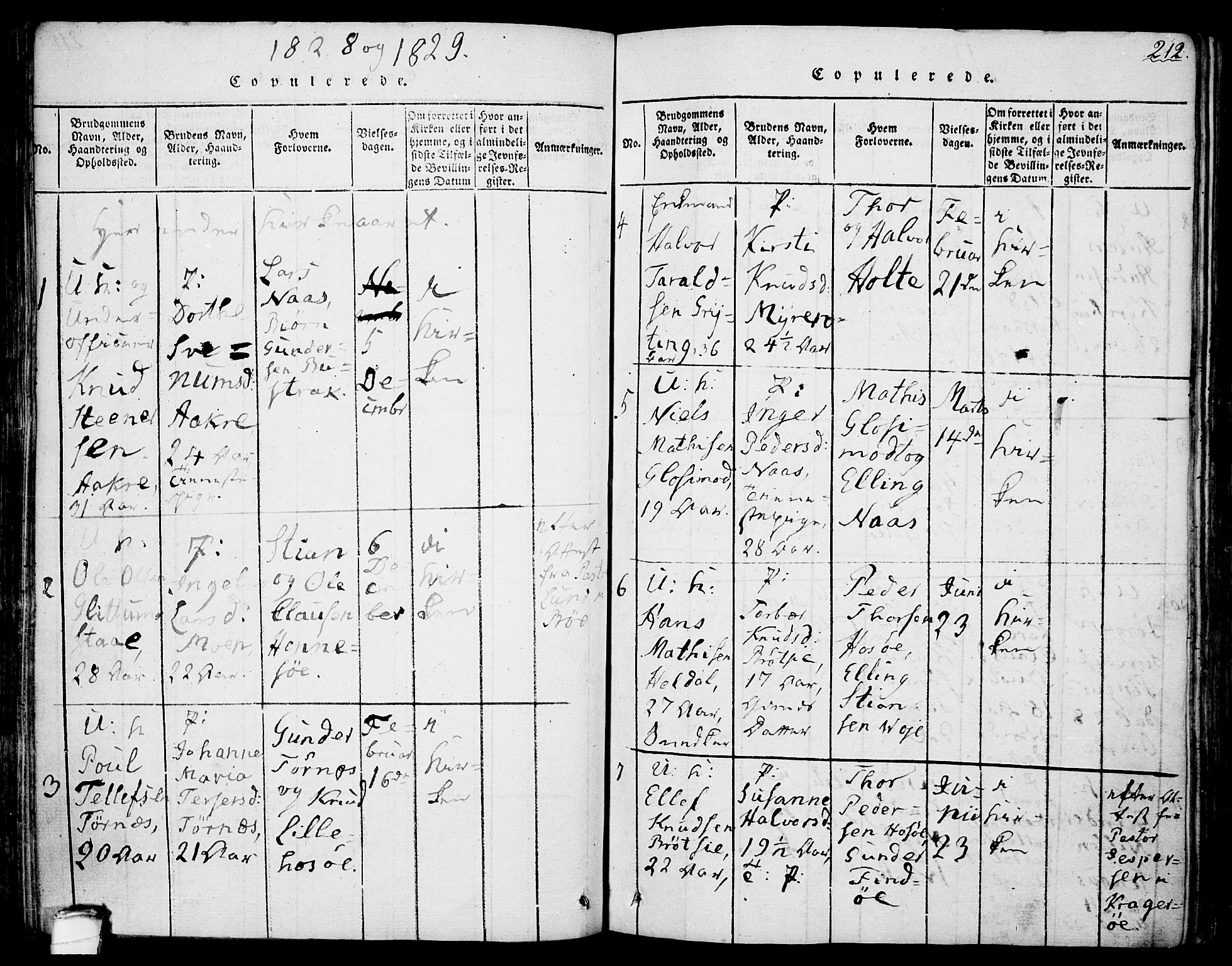 Drangedal kirkebøker, AV/SAKO-A-258/F/Fa/L0005: Parish register (official) no. 5 /1, 1814-1831, p. 212