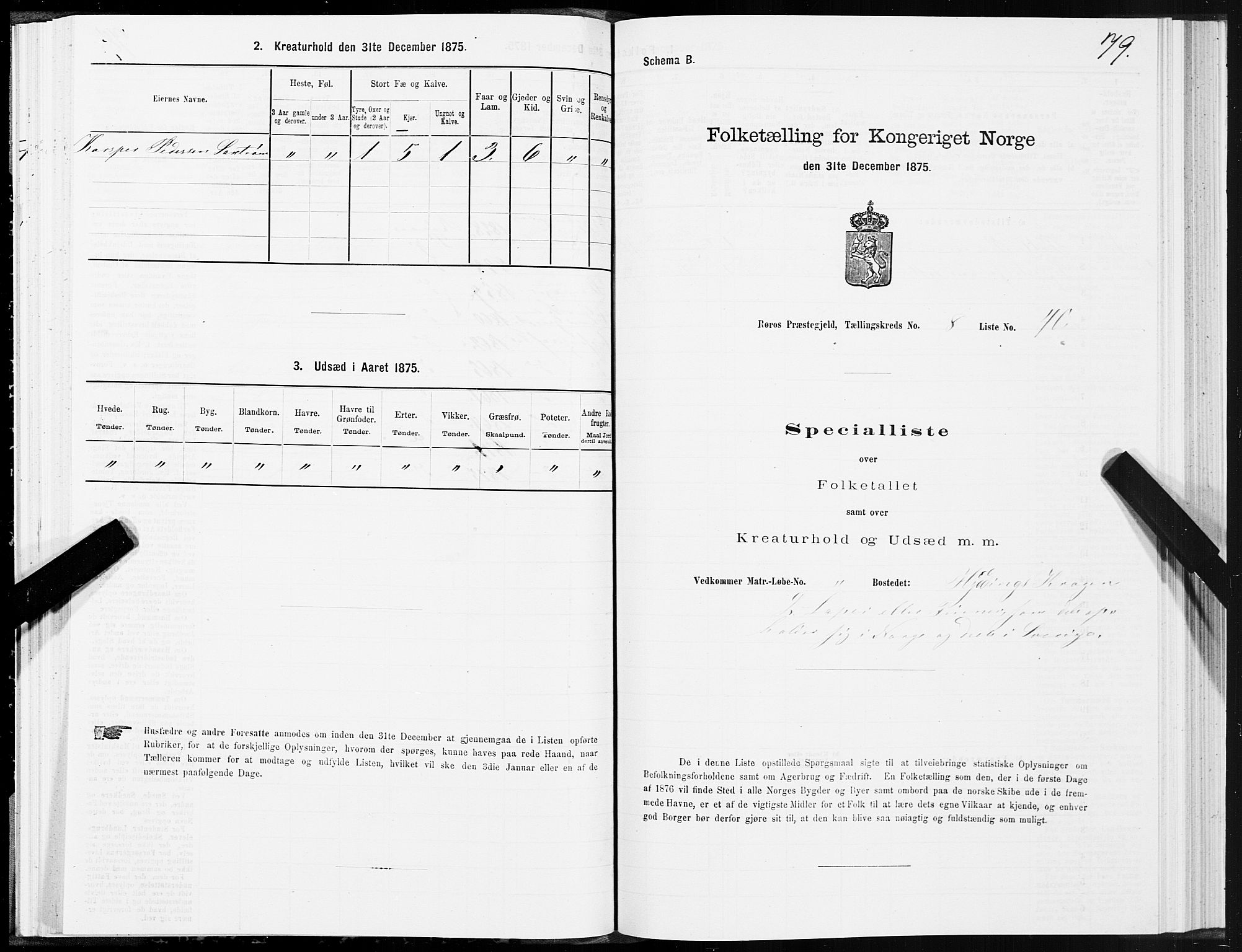 SAT, 1875 census for 1640P Røros, 1875, p. 5079