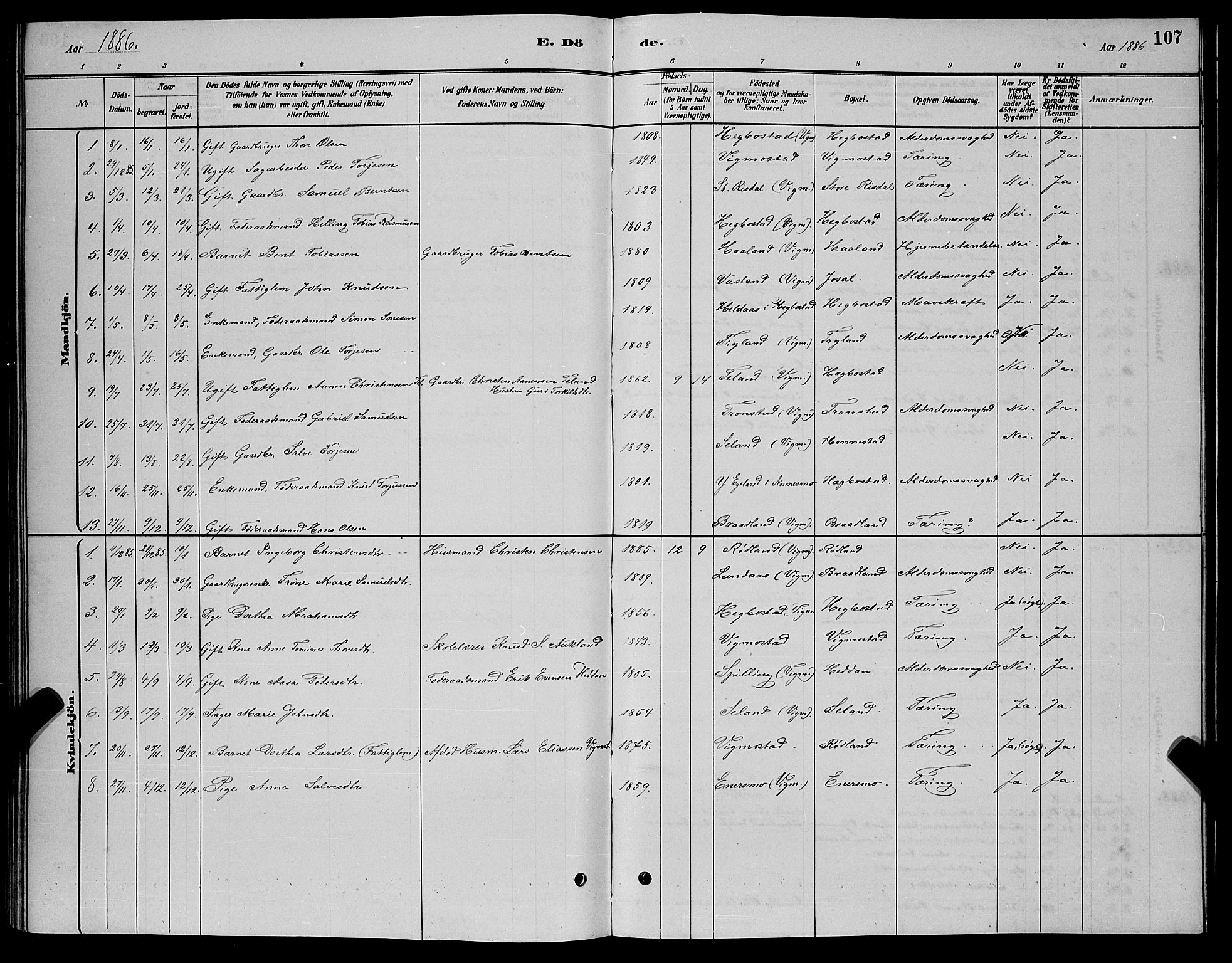 Nord-Audnedal sokneprestkontor, AV/SAK-1111-0032/F/Fb/Fbb/L0003: Parish register (copy) no. B 3, 1882-1900, p. 107