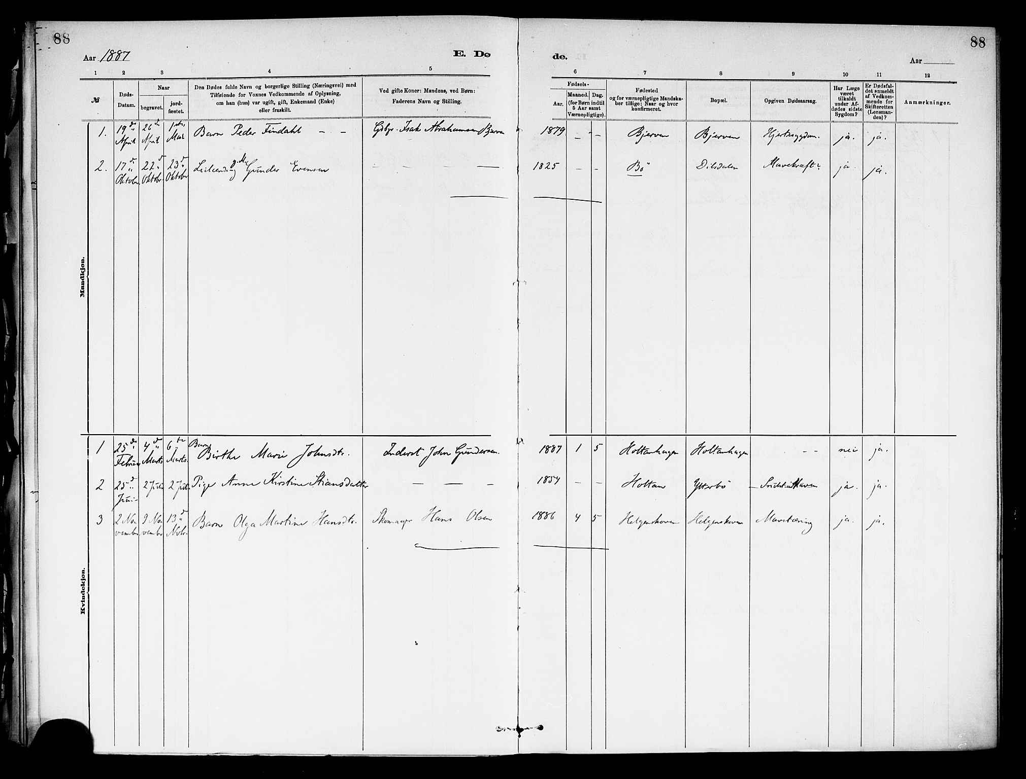 Holla kirkebøker, SAKO/A-272/F/Fa/L0009: Parish register (official) no. 9, 1881-1897, p. 88