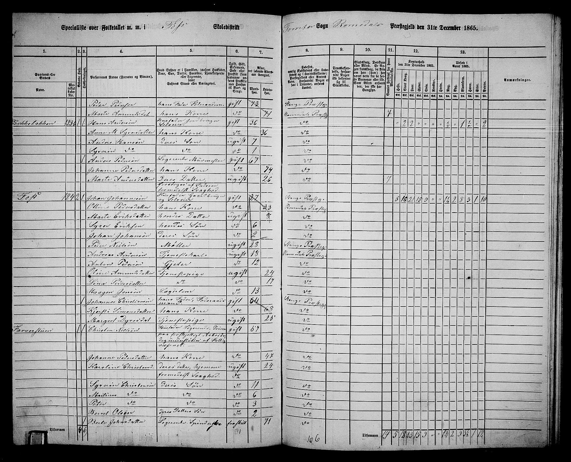 RA, 1865 census for Romedal, 1865, p. 174