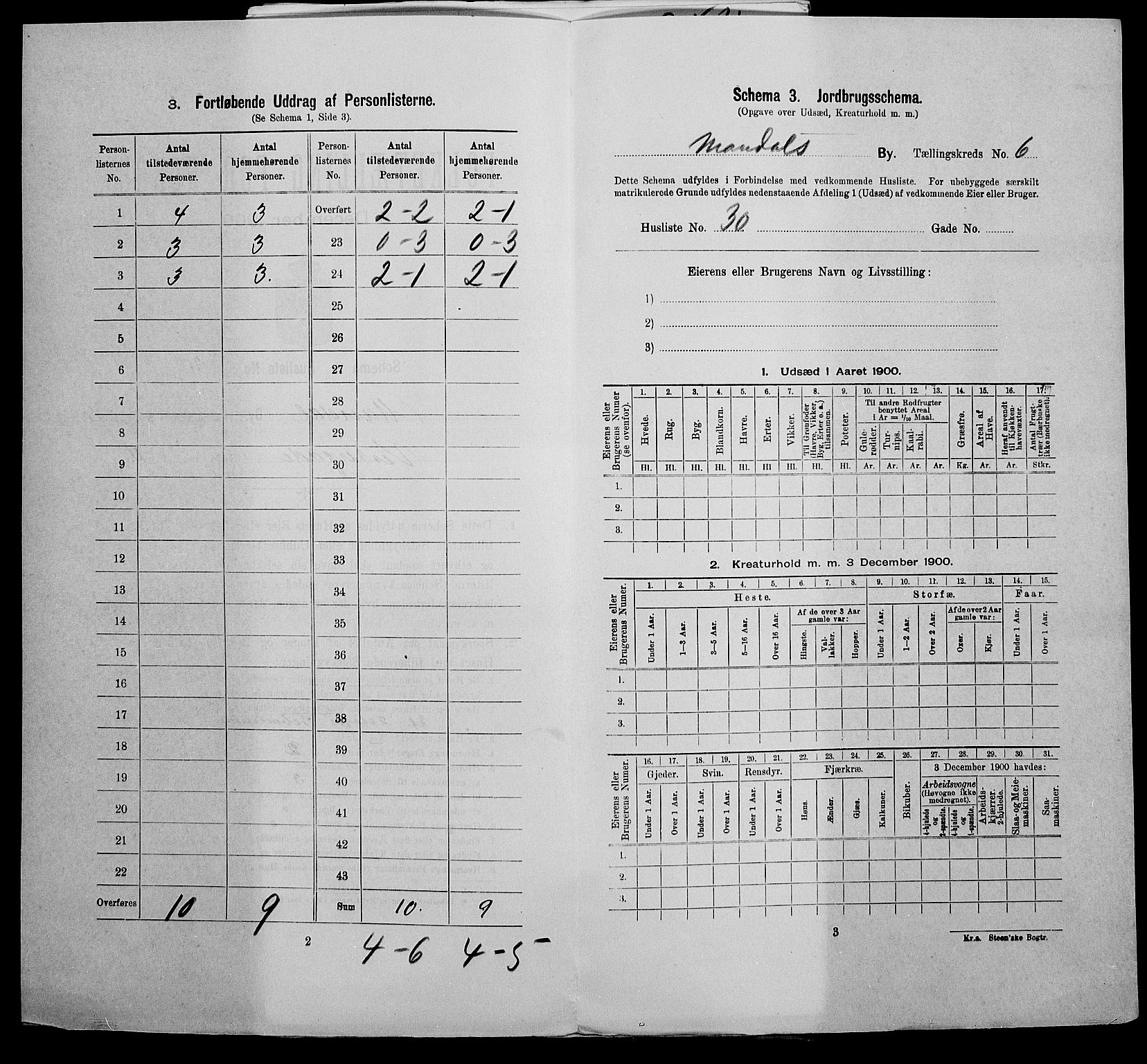 SAK, 1900 census for Mandal, 1900, p. 862