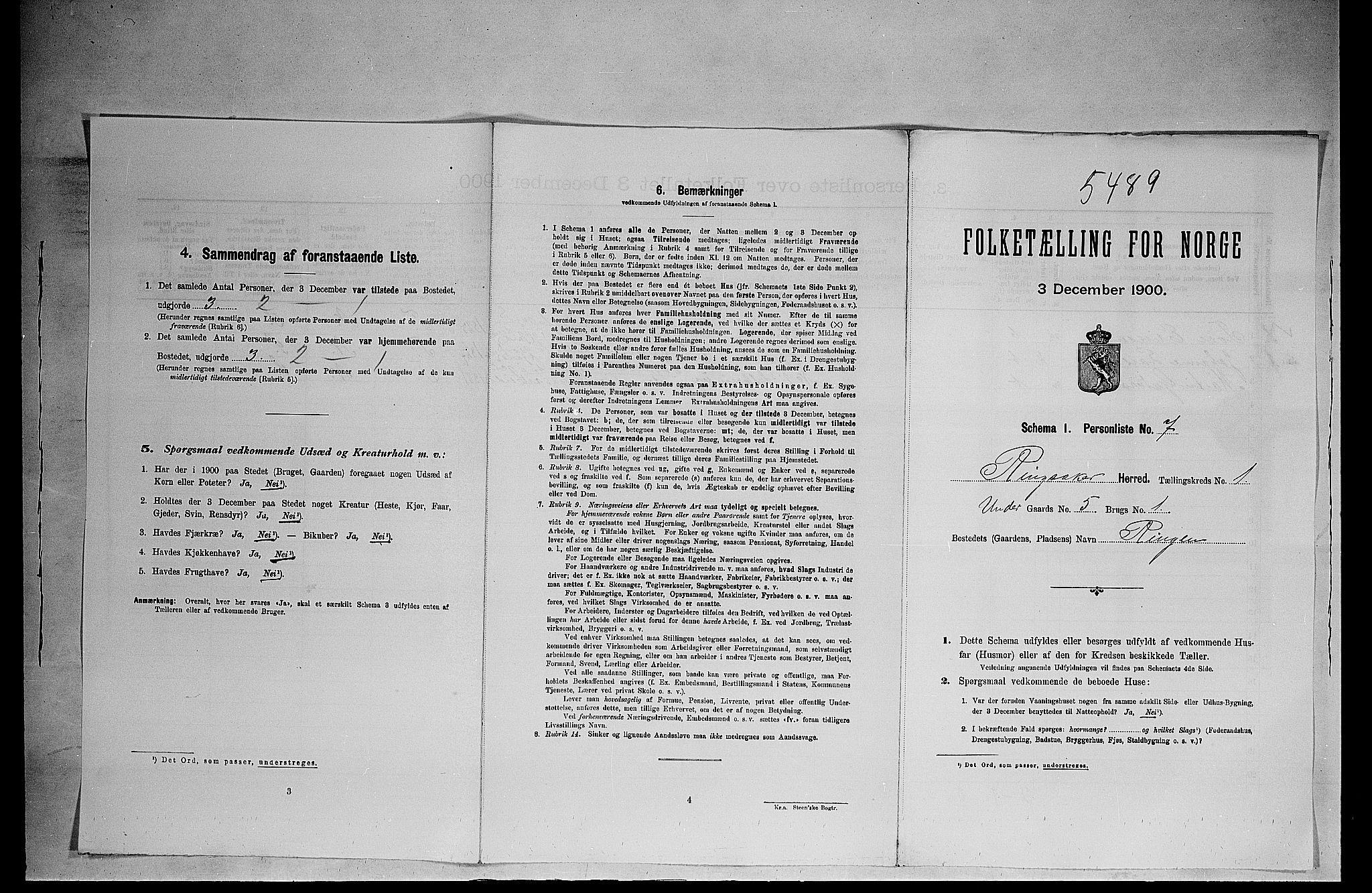 SAH, 1900 census for Ringsaker, 1900, p. 351