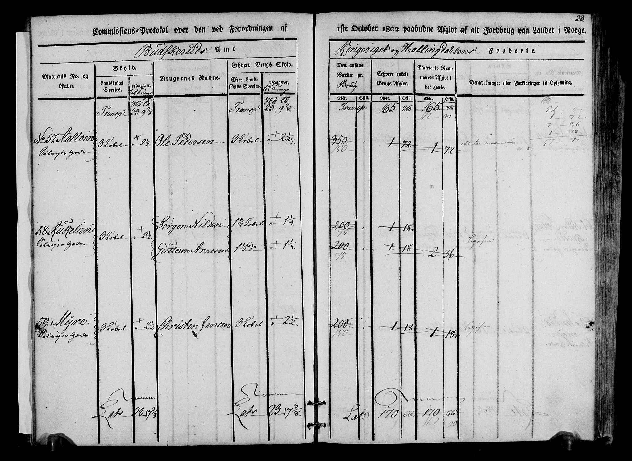 Rentekammeret inntil 1814, Realistisk ordnet avdeling, AV/RA-EA-4070/N/Ne/Nea/L0047: Ringerike og Hallingdal fogderi. Kommisjonsprotokoll for Nes prestegjeld, 1803, p. 24