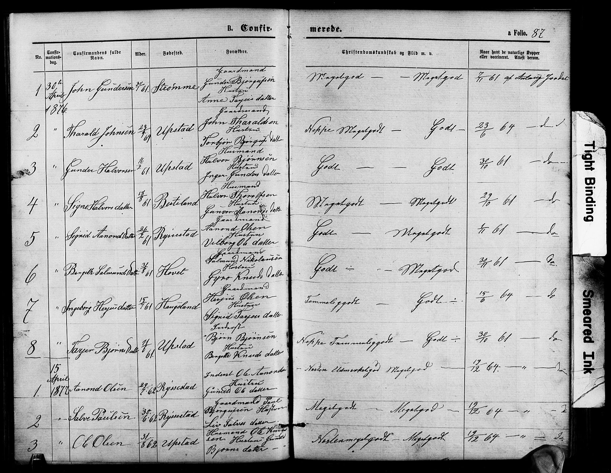 Valle sokneprestkontor, SAK/1111-0044/F/Fb/Fbb/L0002: Parish register (copy) no. B 2, 1875-1921, p. 87
