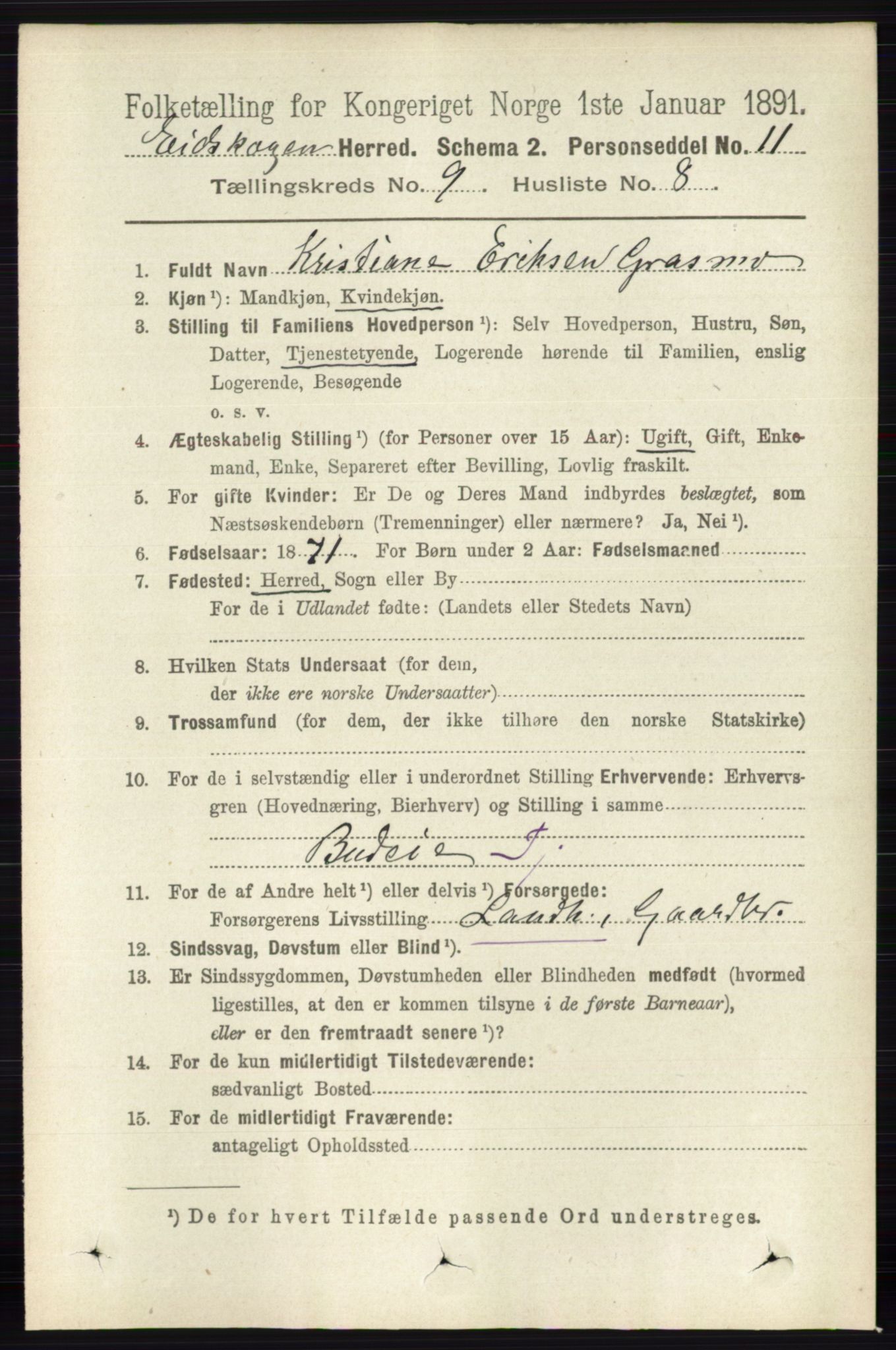 RA, 1891 census for 0420 Eidskog, 1891, p. 5447