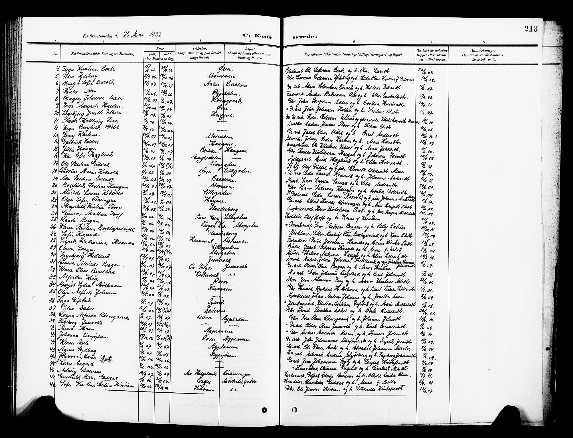 Ministerialprotokoller, klokkerbøker og fødselsregistre - Sør-Trøndelag, SAT/A-1456/681/L0942: Parish register (copy) no. 681C06, 1906-1925, p. 213