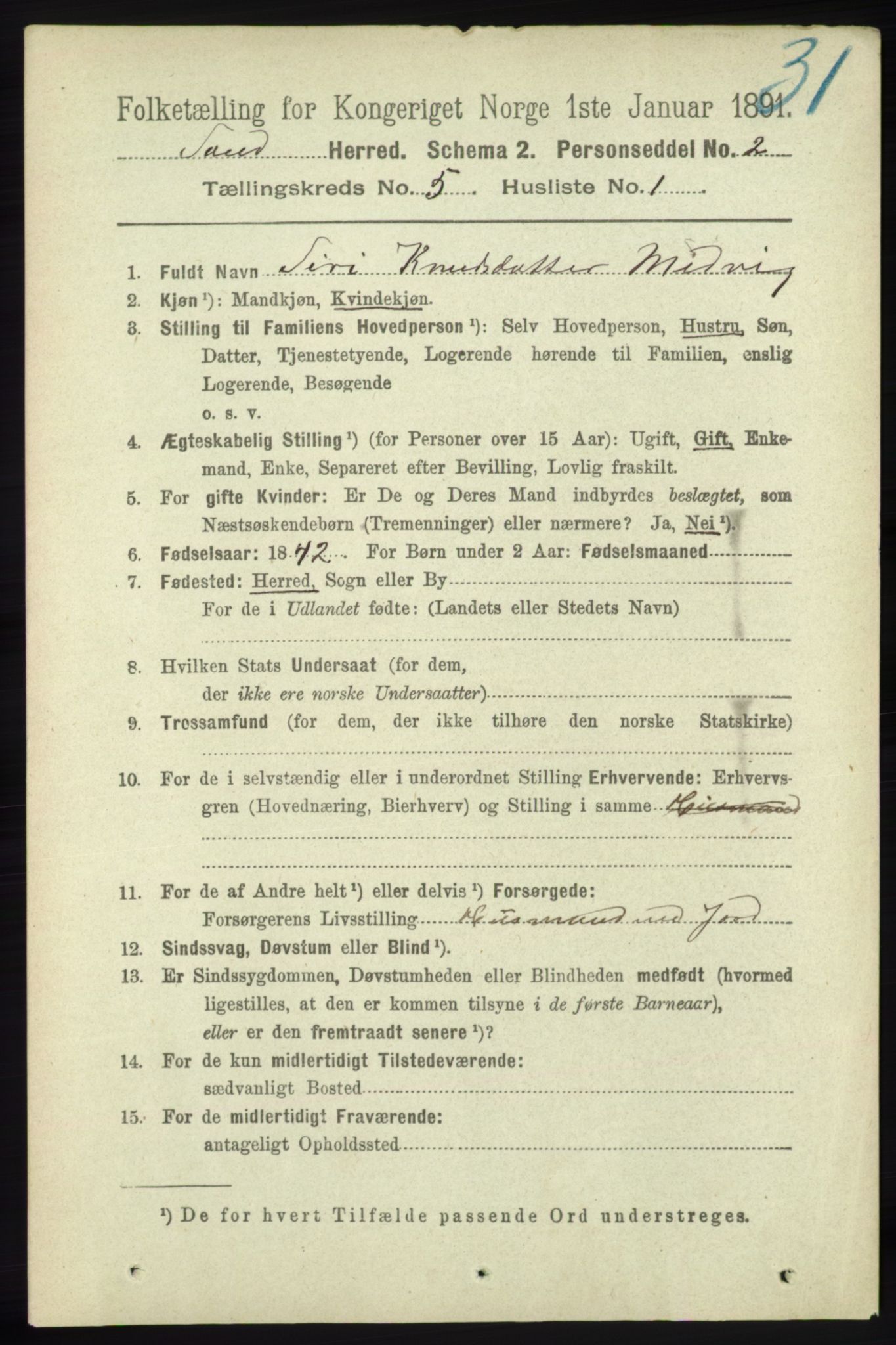 RA, 1891 census for 1136 Sand, 1891, p. 1550