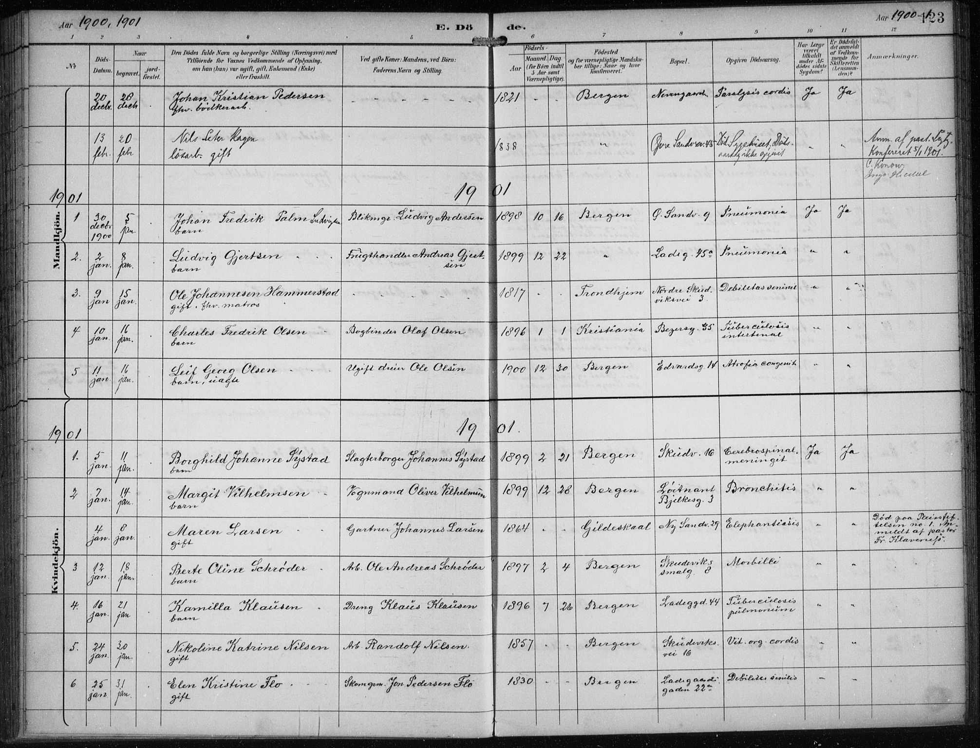 Sandviken Sokneprestembete, AV/SAB-A-77601/H/Ha/L0018: Parish register (official) no. E 1, 1893-1905, p. 123