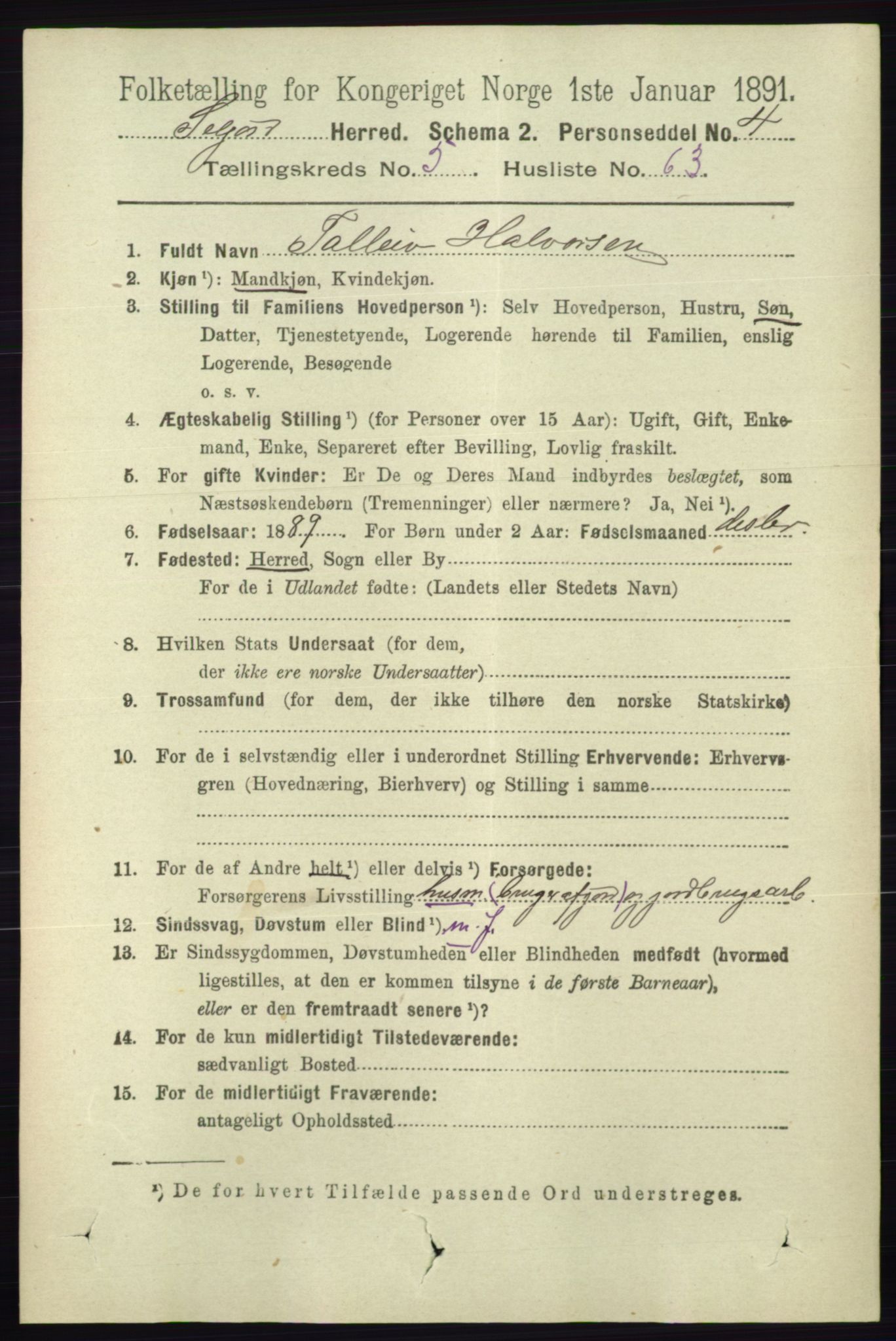 RA, 1891 census for 0828 Seljord, 1891, p. 2135