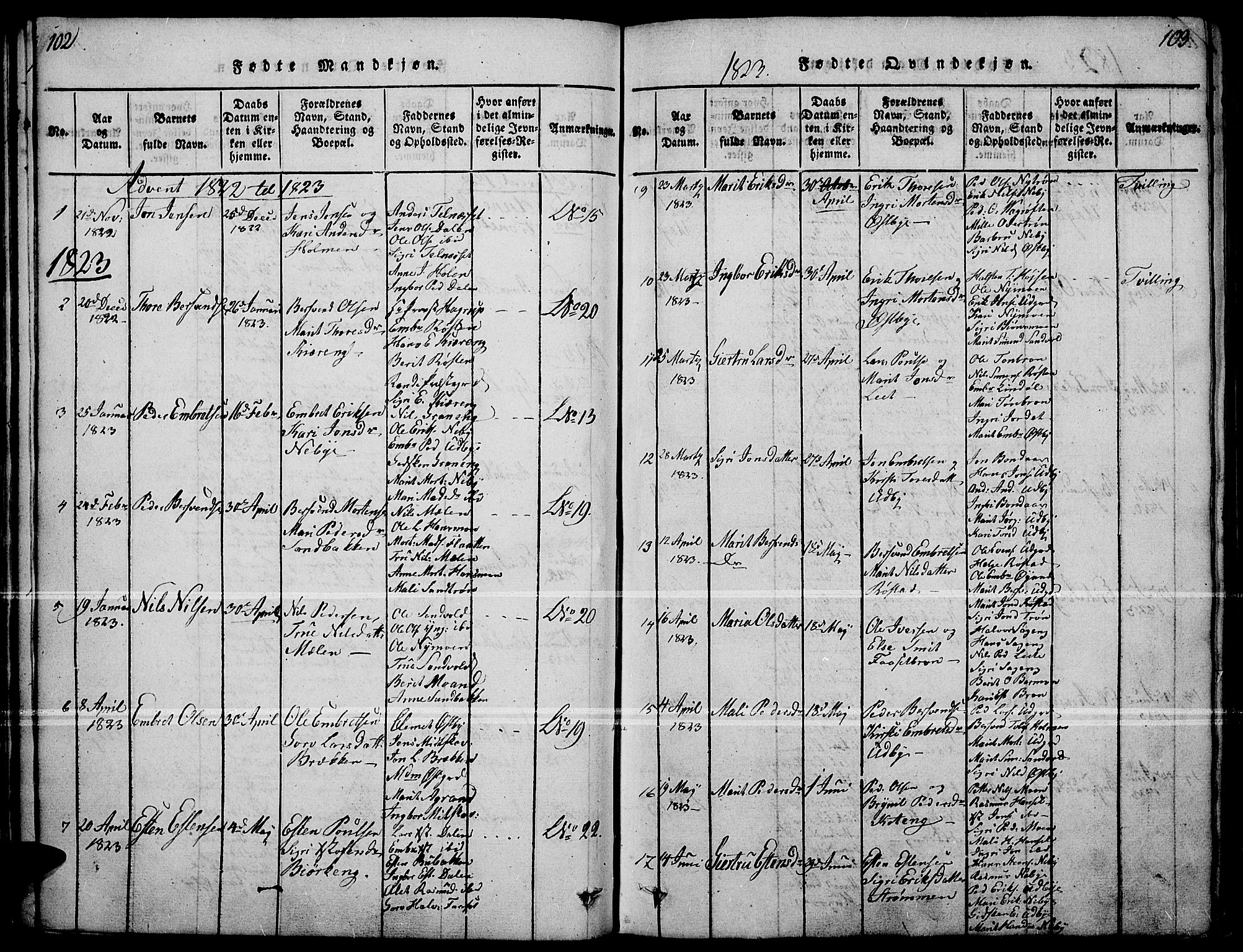 Tynset prestekontor, SAH/PREST-058/H/Ha/Haa/L0018: Parish register (official) no. 18, 1815-1829, p. 102-103