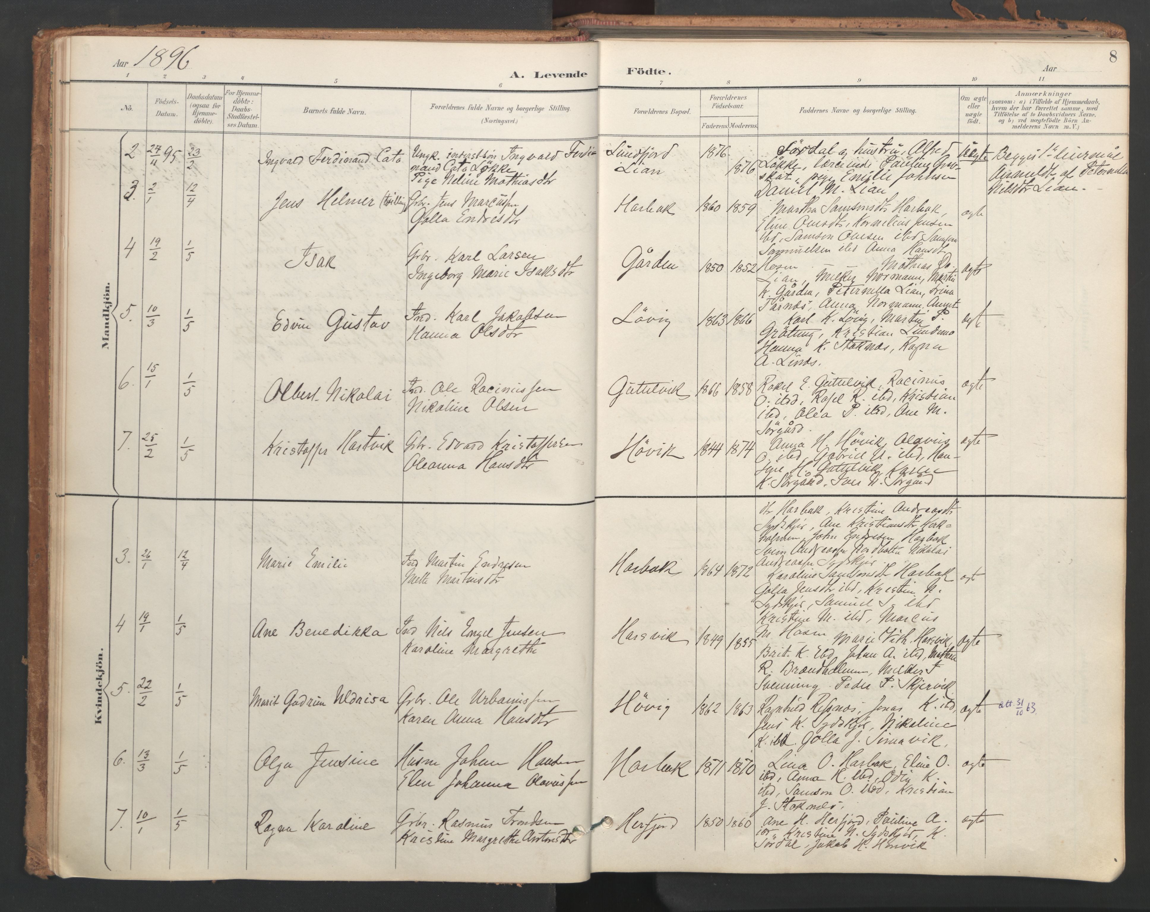 Ministerialprotokoller, klokkerbøker og fødselsregistre - Sør-Trøndelag, SAT/A-1456/656/L0693: Parish register (official) no. 656A02, 1894-1913, p. 8