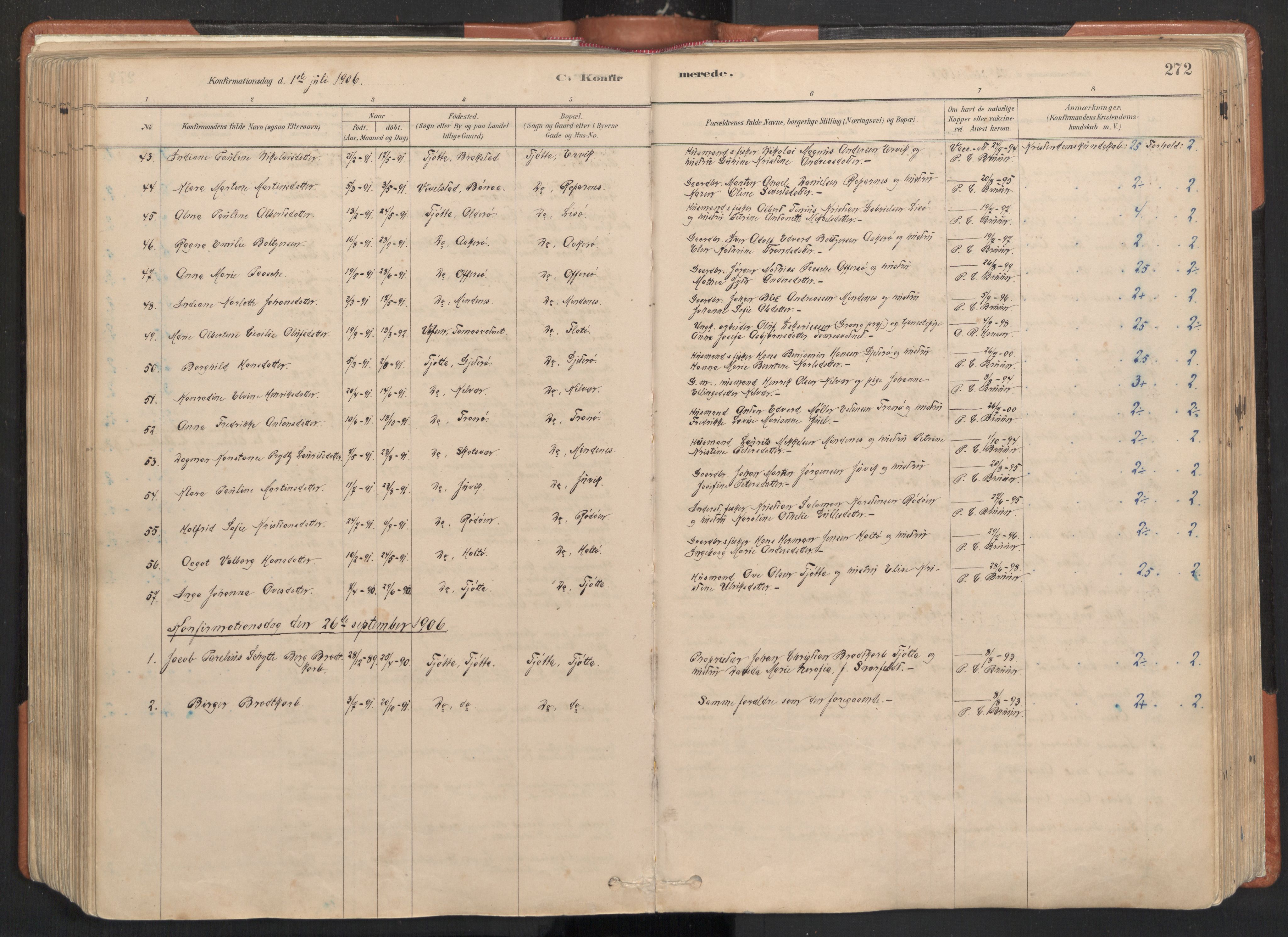 Ministerialprotokoller, klokkerbøker og fødselsregistre - Nordland, AV/SAT-A-1459/817/L0264: Parish register (official) no. 817A04, 1878-1907, p. 272