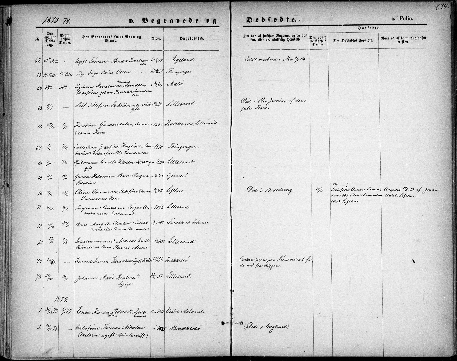 Vestre Moland sokneprestkontor, SAK/1111-0046/F/Fb/Fbb/L0005: Parish register (copy) no. B 5, 1872-1883, p. 234