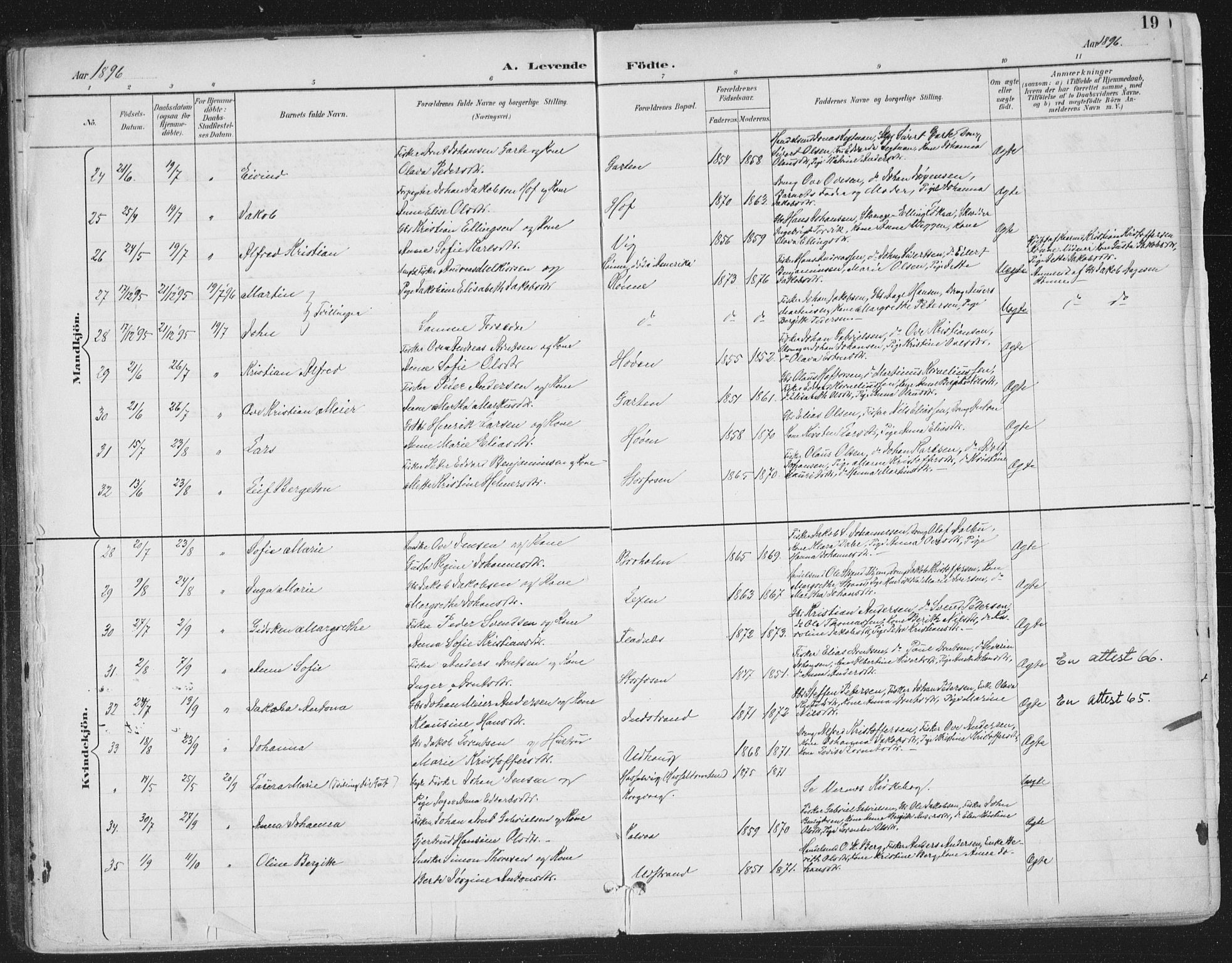Ministerialprotokoller, klokkerbøker og fødselsregistre - Sør-Trøndelag, SAT/A-1456/659/L0743: Parish register (official) no. 659A13, 1893-1910, p. 19