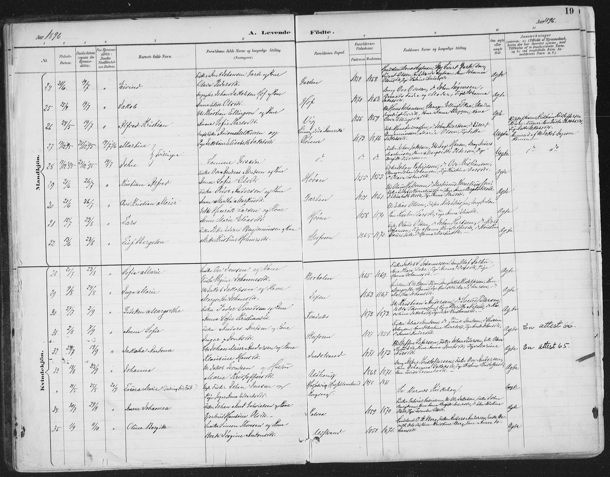 Ministerialprotokoller, klokkerbøker og fødselsregistre - Sør-Trøndelag, AV/SAT-A-1456/659/L0743: Parish register (official) no. 659A13, 1893-1910, p. 19