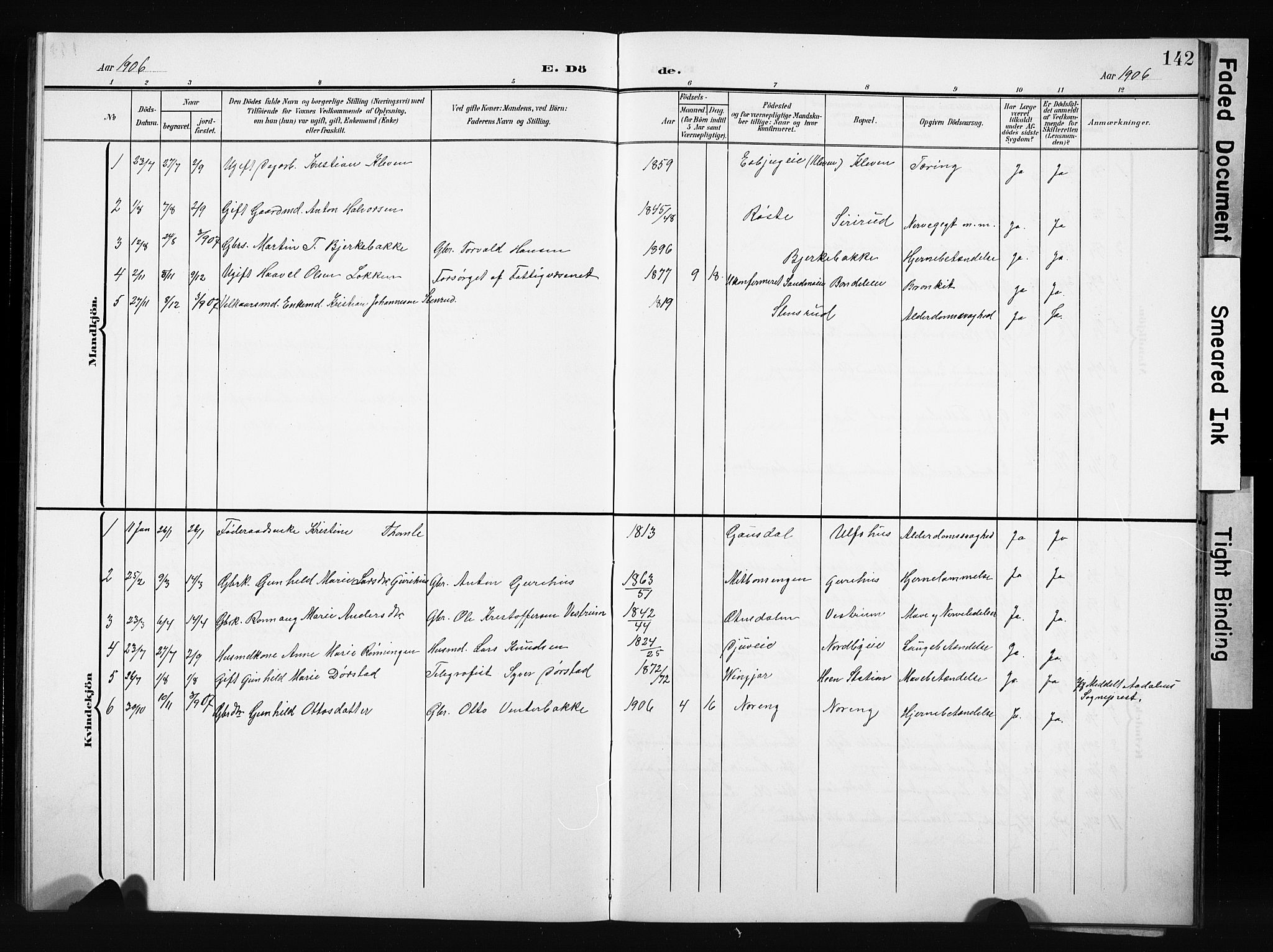 Nordre Land prestekontor, SAH/PREST-124/H/Ha/Hab/L0006: Parish register (copy) no. 6, 1905-1929, p. 142