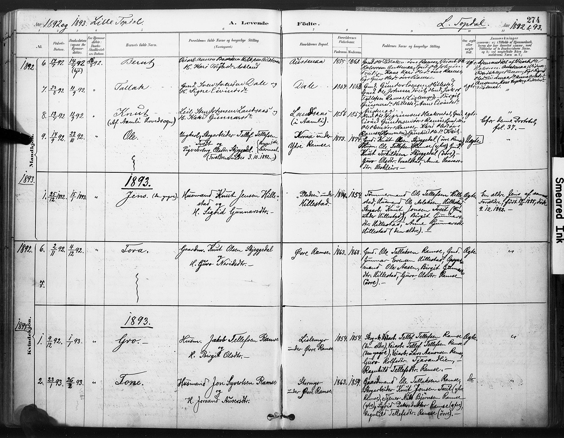 Åmli sokneprestkontor, SAK/1111-0050/F/Fa/Fac/L0010: Parish register (official) no. A 10 /3, 1885-1899, p. 274