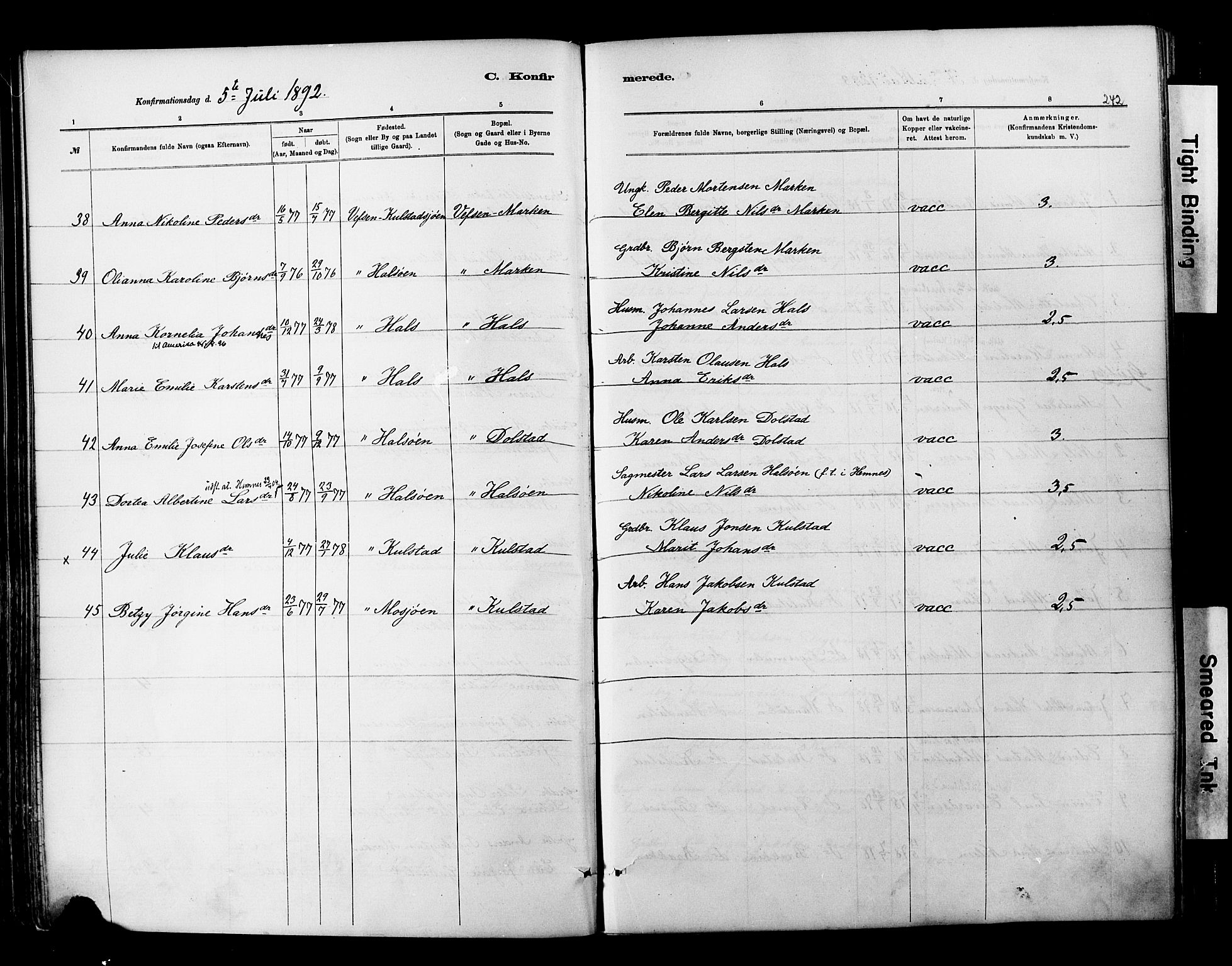 Ministerialprotokoller, klokkerbøker og fødselsregistre - Nordland, AV/SAT-A-1459/820/L0295: Parish register (official) no. 820A16, 1880-1896, p. 242