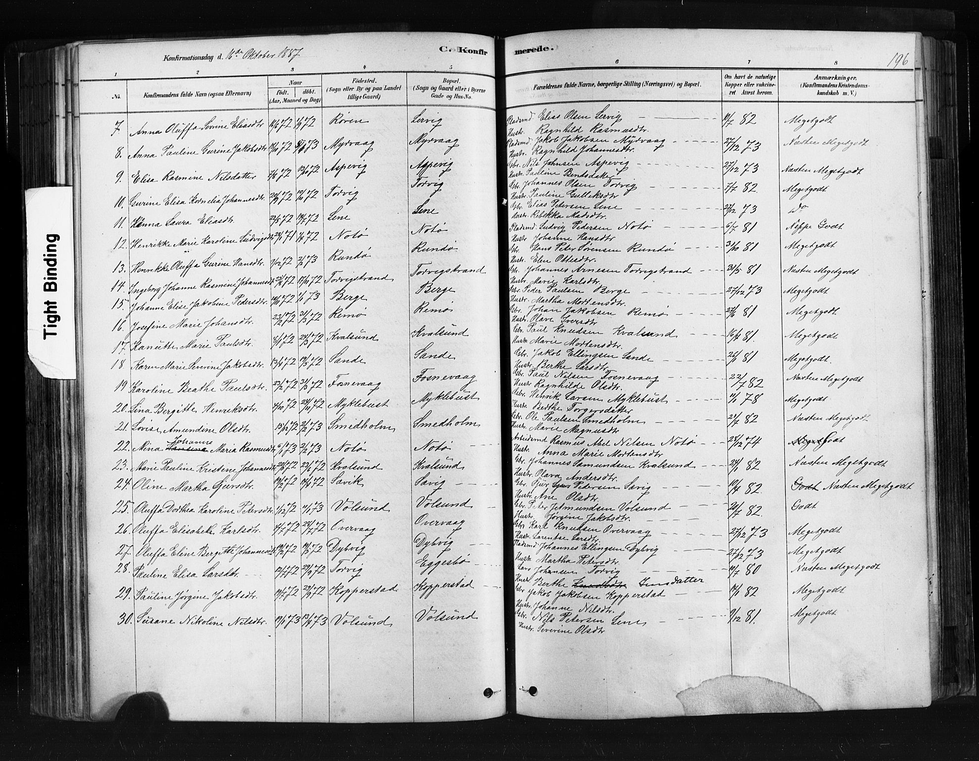 Ministerialprotokoller, klokkerbøker og fødselsregistre - Møre og Romsdal, SAT/A-1454/507/L0073: Parish register (official) no. 507A08, 1878-1904, p. 196