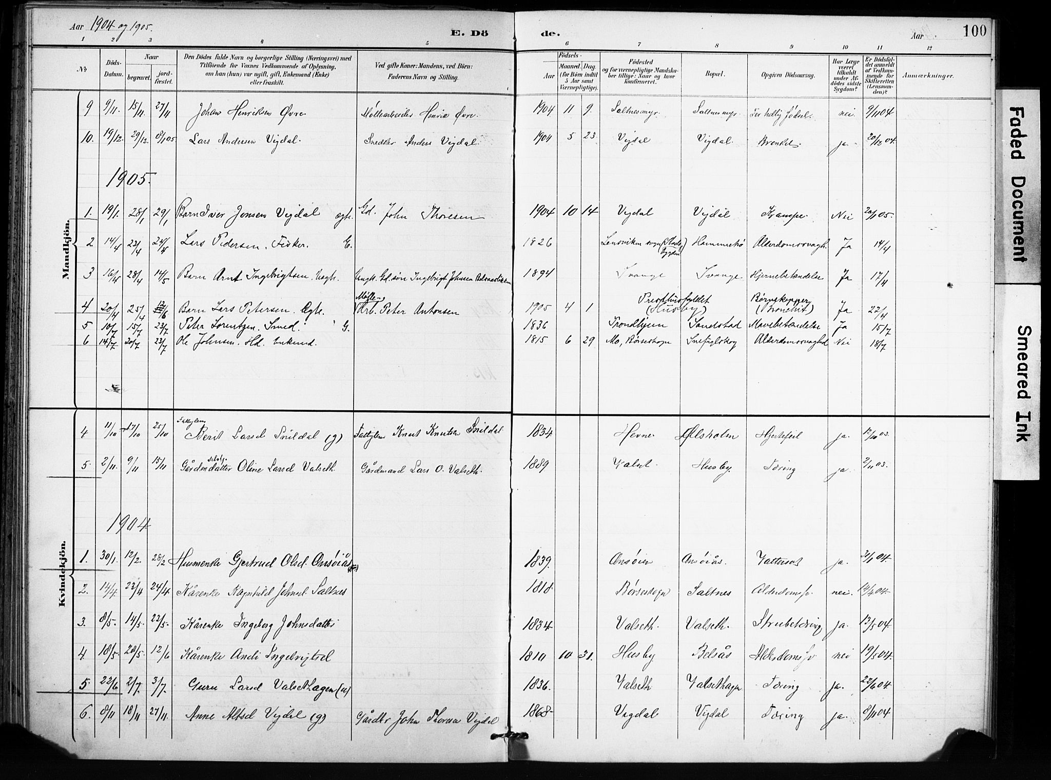 Ministerialprotokoller, klokkerbøker og fødselsregistre - Sør-Trøndelag, SAT/A-1456/666/L0787: Parish register (official) no. 666A05, 1895-1908, p. 100