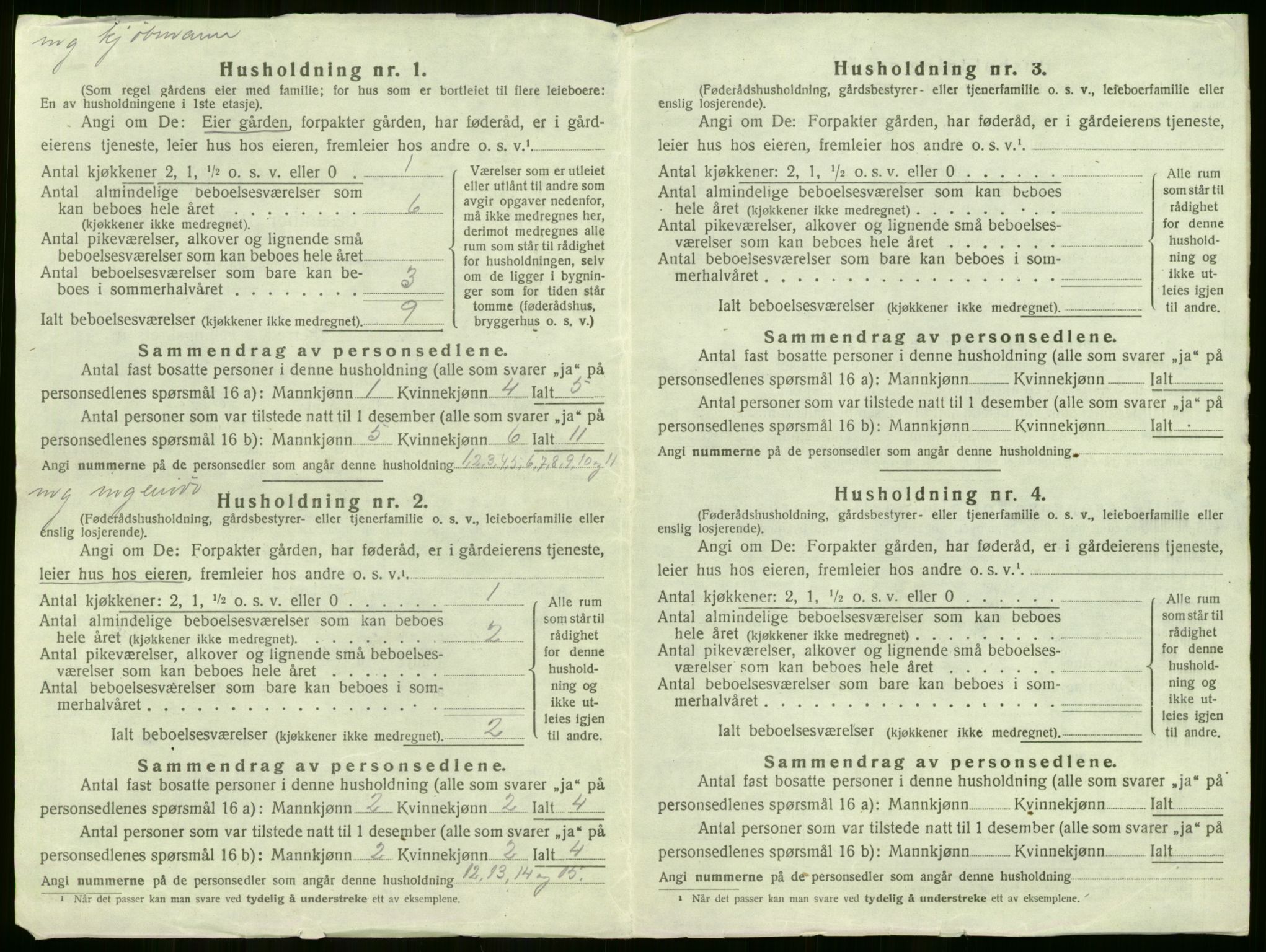 SAKO, 1920 census for Flesberg, 1920, p. 60