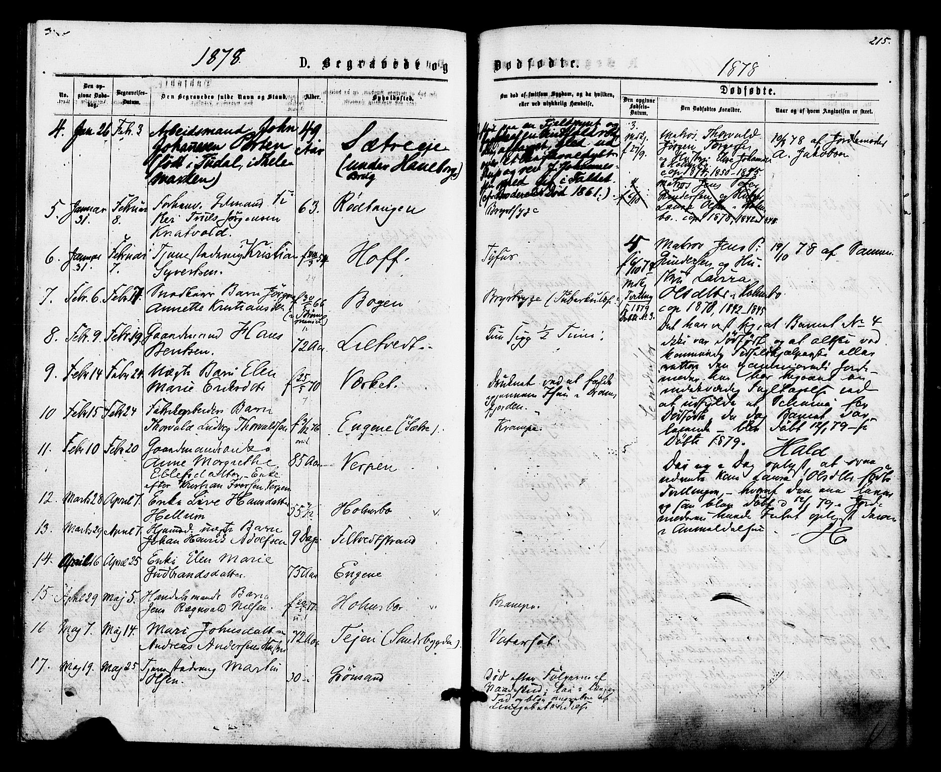 Hurum kirkebøker, AV/SAKO-A-229/F/Fa/L0013: Parish register (official) no. 13, 1876-1881, p. 215