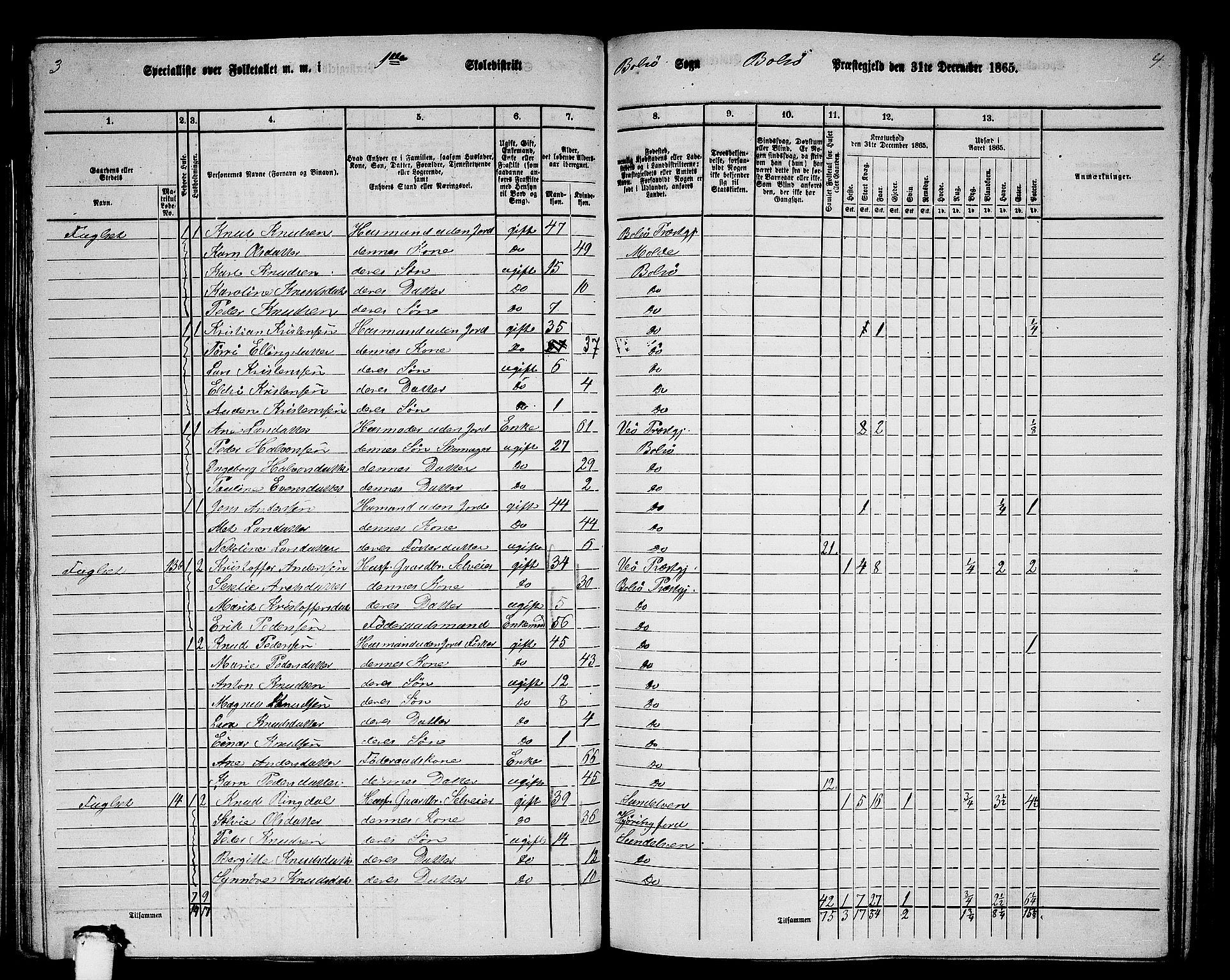 RA, 1865 census for Bolsøy, 1865, p. 22