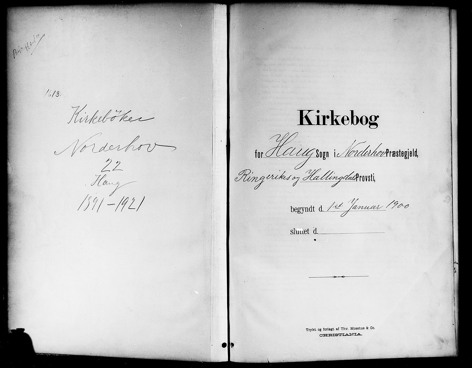 Norderhov kirkebøker, AV/SAKO-A-237/G/Gb/L0002: Parish register (copy) no. II 2, 1891-1921