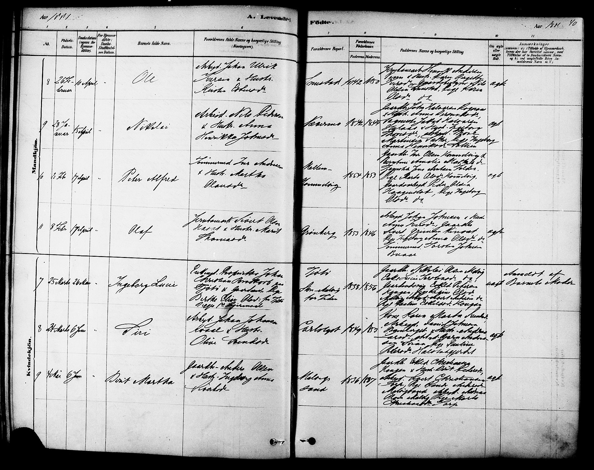Ministerialprotokoller, klokkerbøker og fødselsregistre - Sør-Trøndelag, SAT/A-1456/616/L0410: Parish register (official) no. 616A07, 1878-1893, p. 40