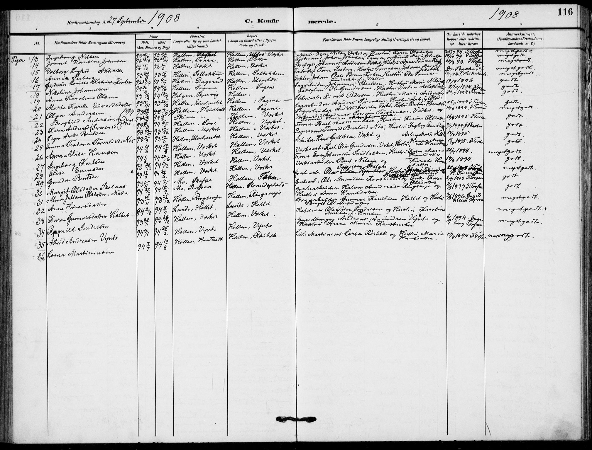 Holla kirkebøker, SAKO/A-272/F/Fa/L0012: Parish register (official) no. 12, 1907-1923, p. 116