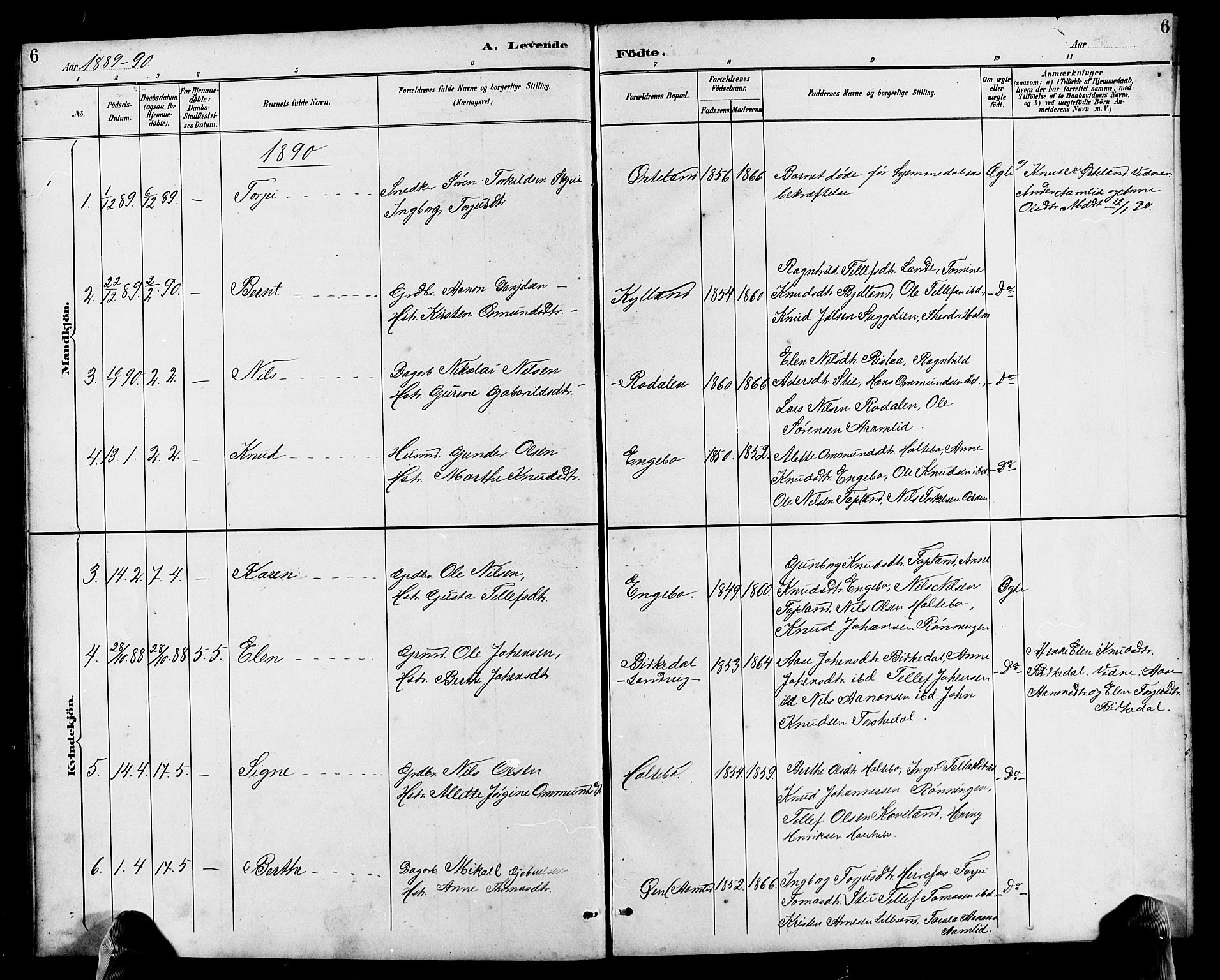 Herefoss sokneprestkontor, SAK/1111-0019/F/Fb/Fba/L0003: Parish register (copy) no. B 3, 1887-1925, p. 6