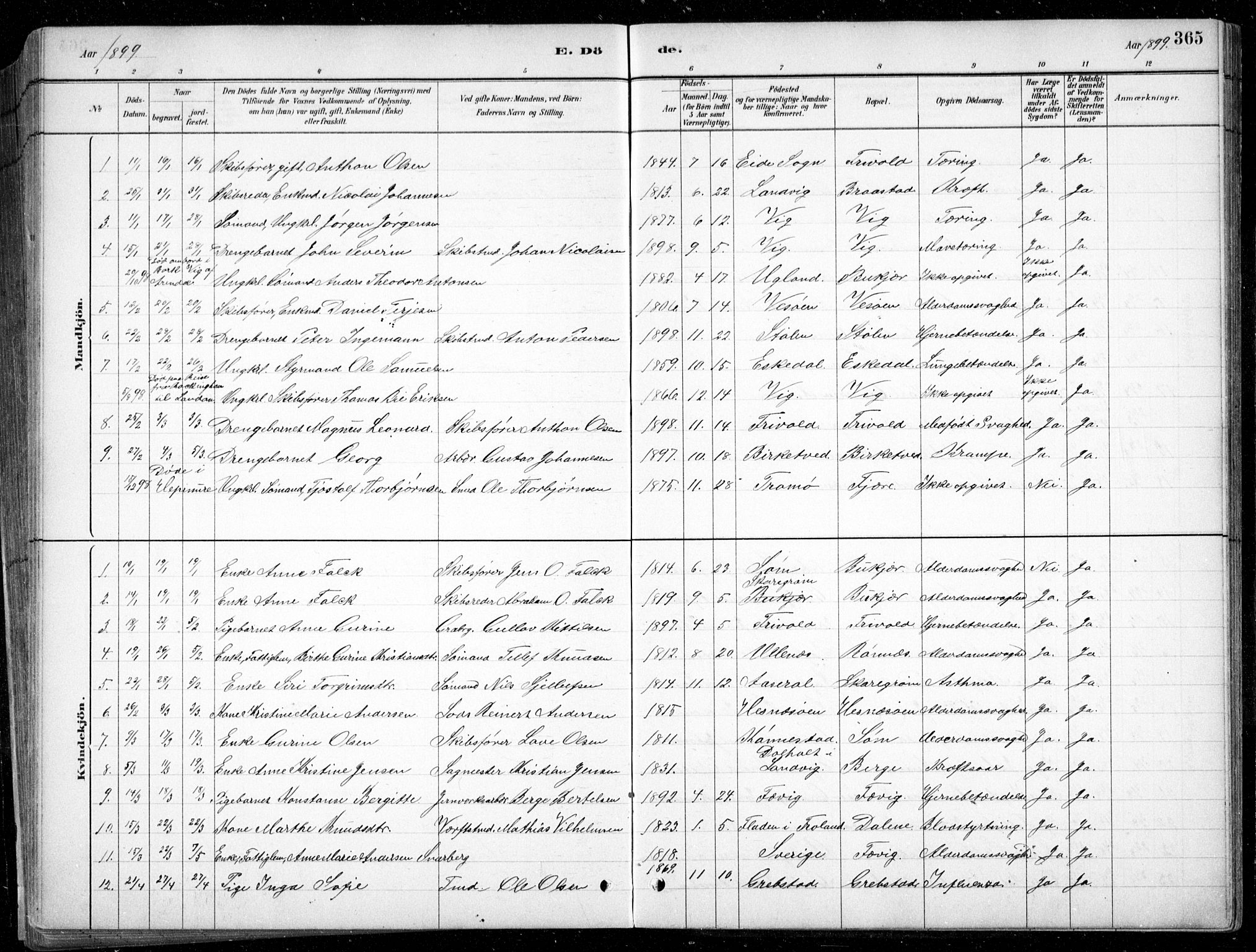 Fjære sokneprestkontor, SAK/1111-0011/F/Fb/L0011: Parish register (copy) no. B 11, 1881-1905, p. 365
