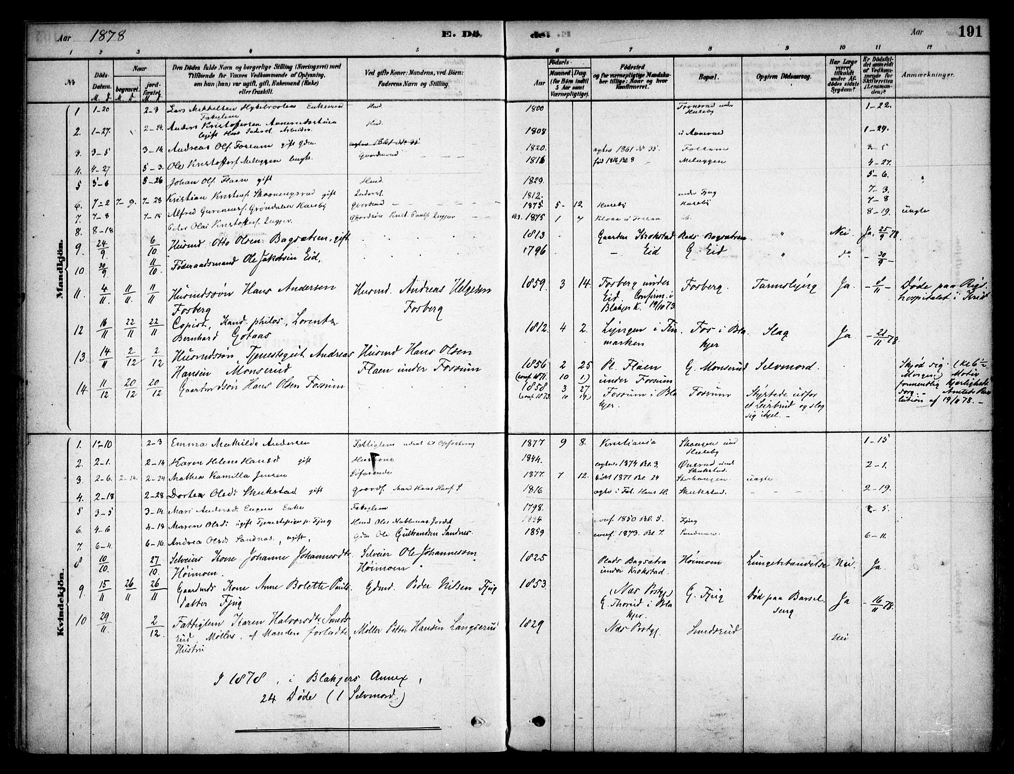 Aurskog prestekontor Kirkebøker, SAO/A-10304a/F/Fb/L0001: Parish register (official) no. II 1, 1878-1909, p. 191