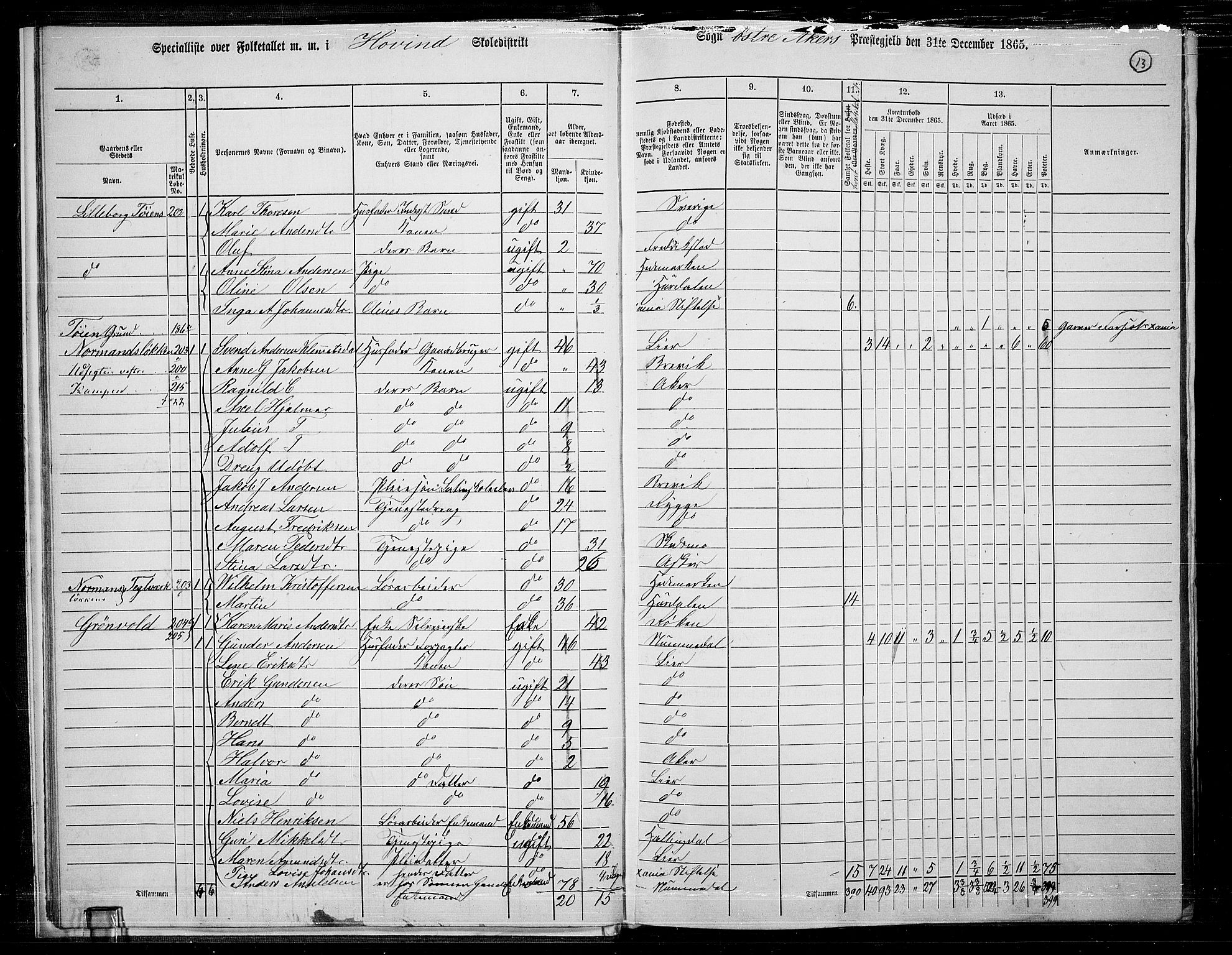 RA, 1865 census for Østre Aker, 1865, p. 237