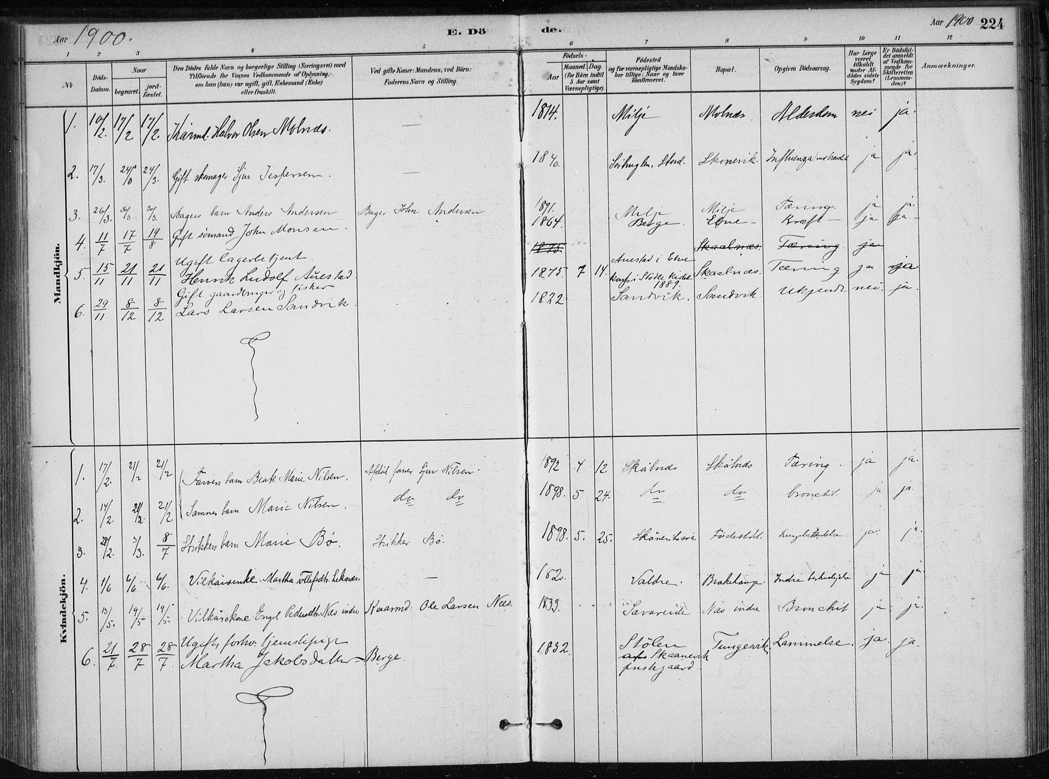 Skånevik sokneprestembete, SAB/A-77801/H/Haa: Parish register (official) no. B 1, 1879-1914, p. 224