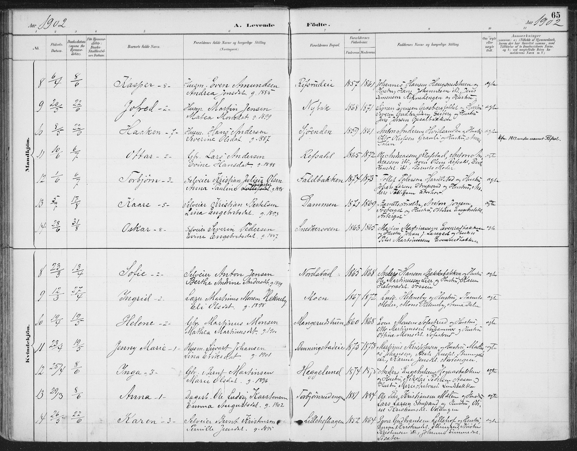 Romedal prestekontor, SAH/PREST-004/K/L0008: Parish register (official) no. 8, 1887-1905, p. 65