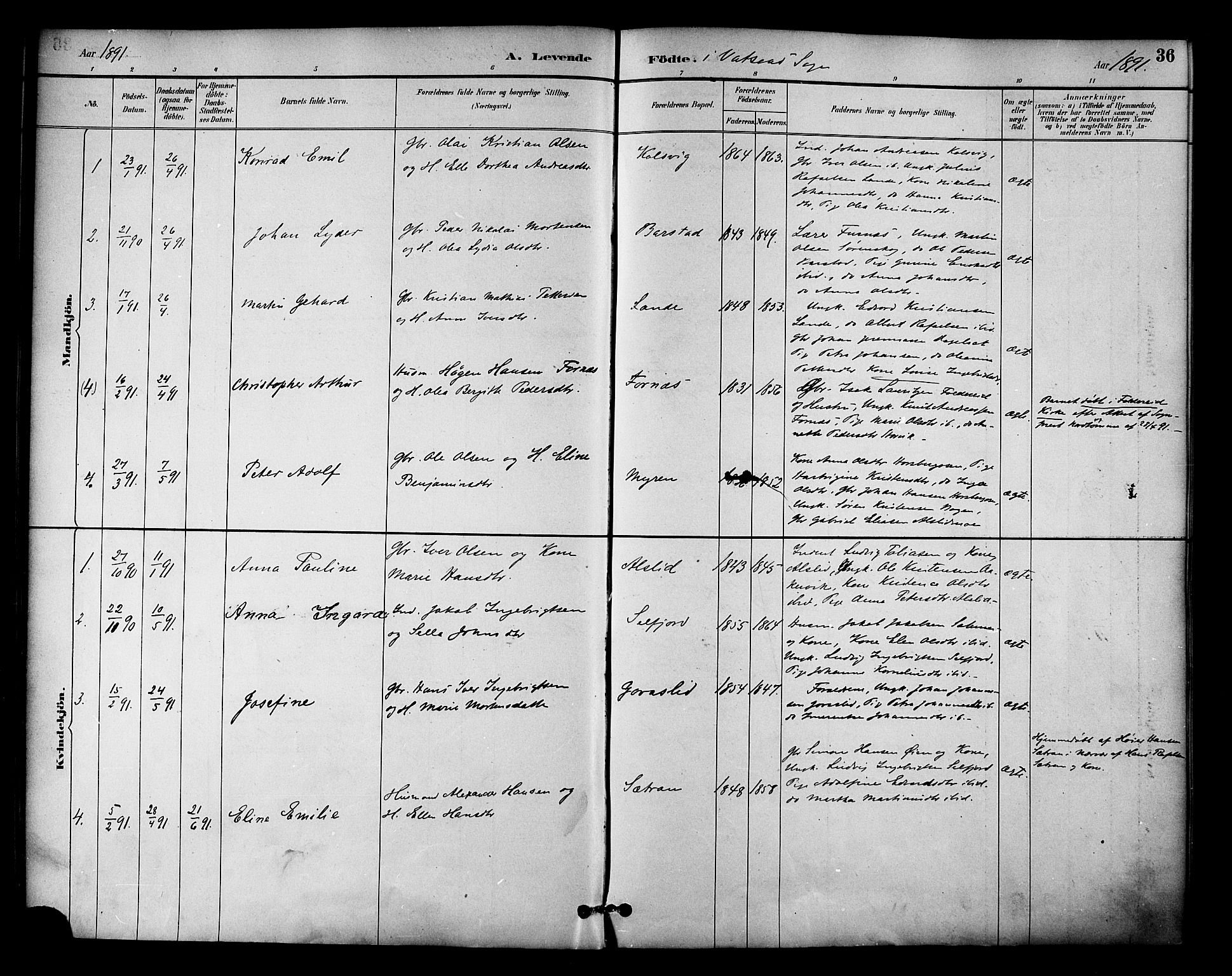 Ministerialprotokoller, klokkerbøker og fødselsregistre - Nordland, AV/SAT-A-1459/810/L0150: Parish register (official) no. 810A10 /1, 1884-1895, p. 36