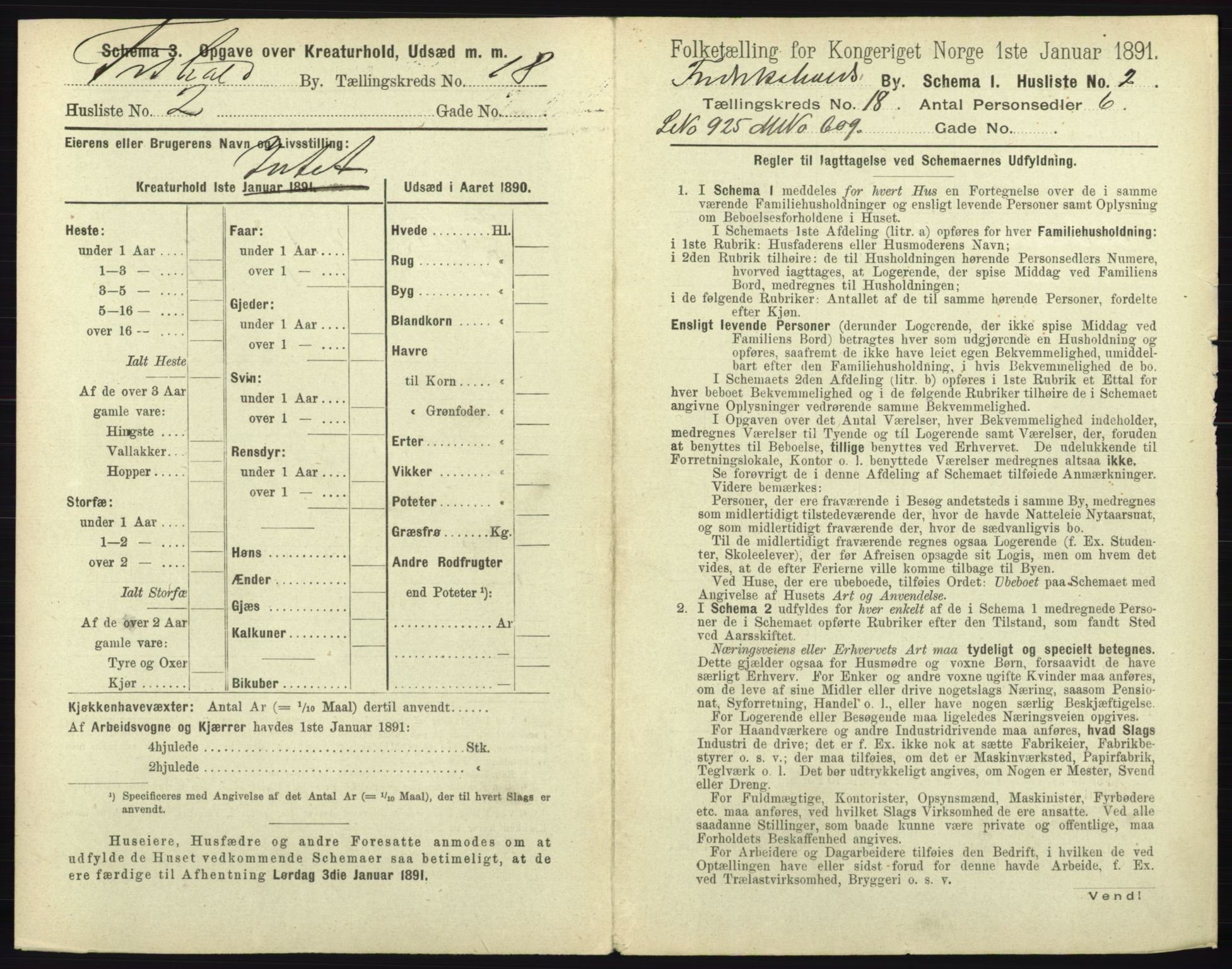 RA, 1891 census for 0101 Fredrikshald, 1891, p. 1596