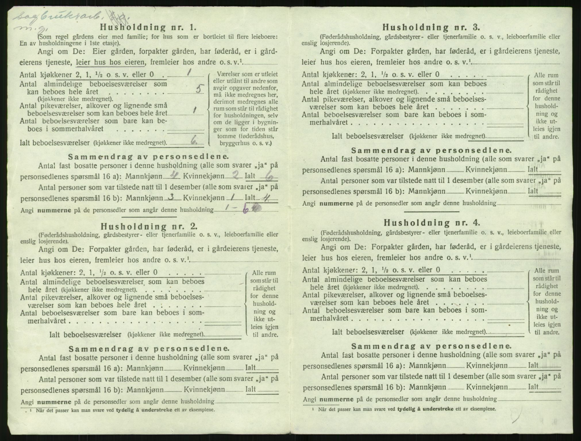 SAK, 1920 census for Stokken, 1920, p. 29