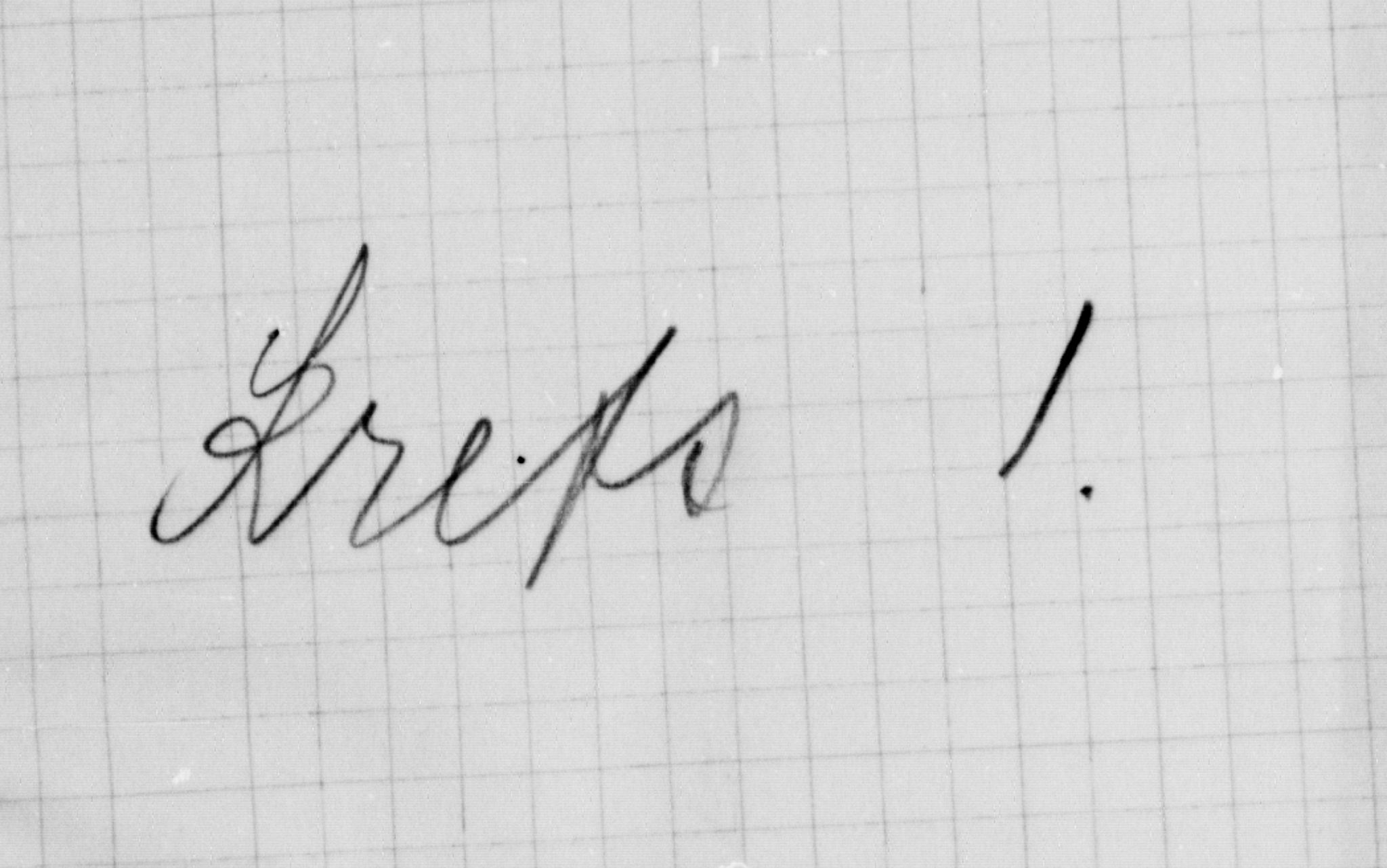SAO, 1900 census for Fet, 1900
